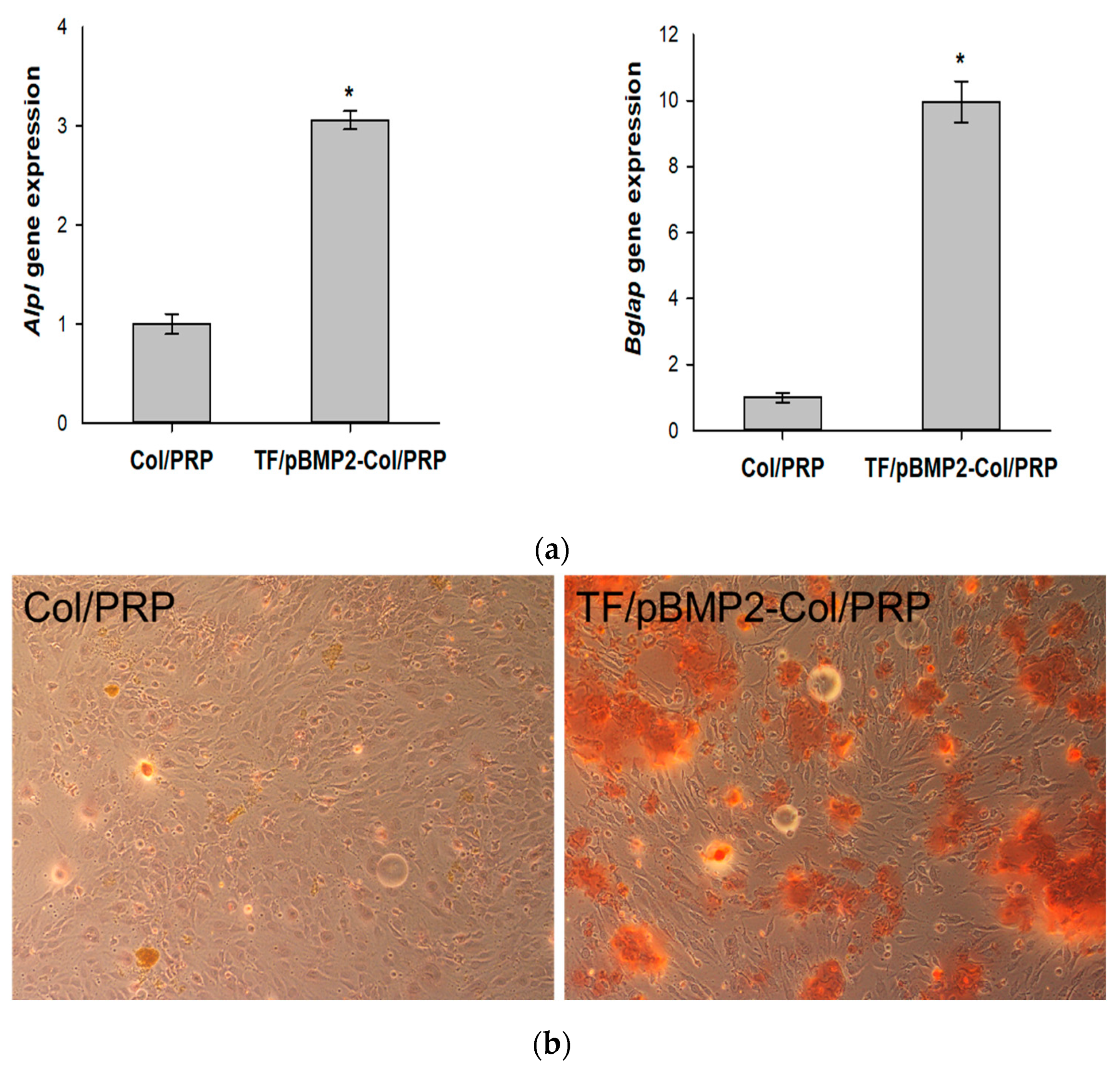 Biomedicines 12 02461 g006