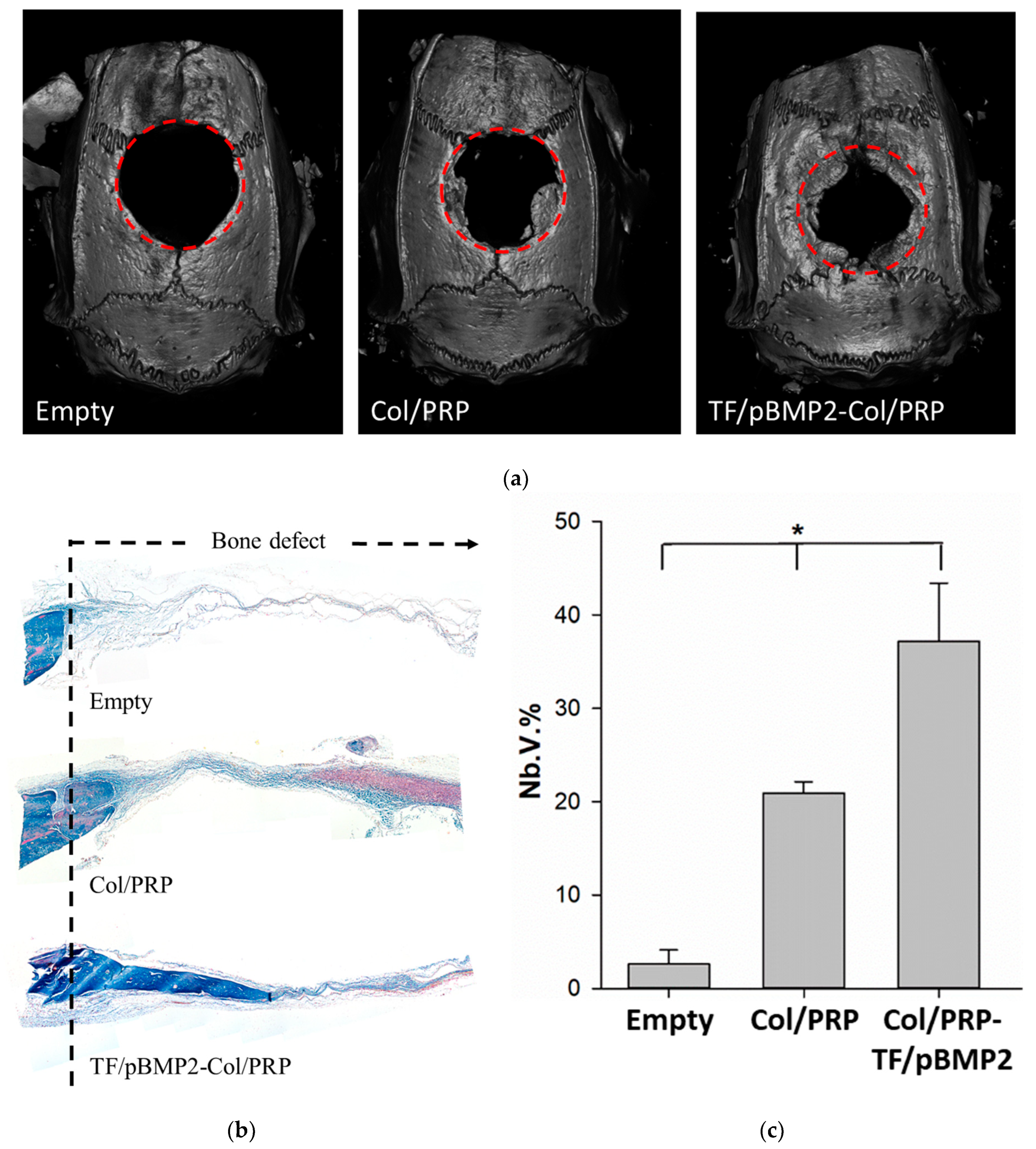 Biomedicines 12 02461 g007
