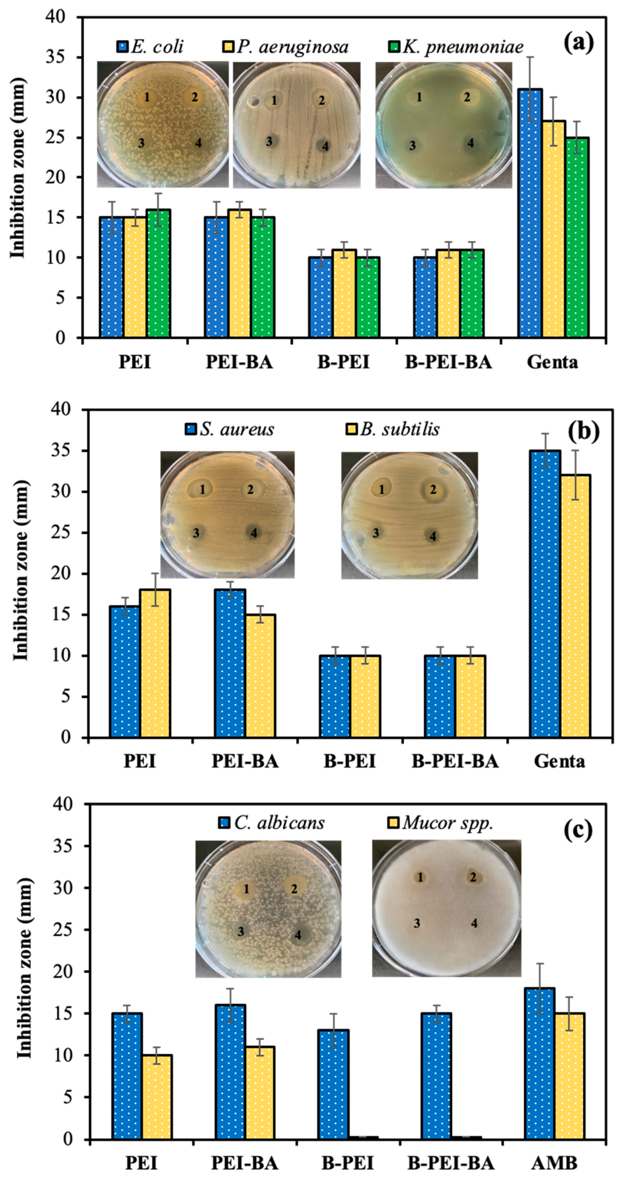 Biomedicines 12 02462 g003