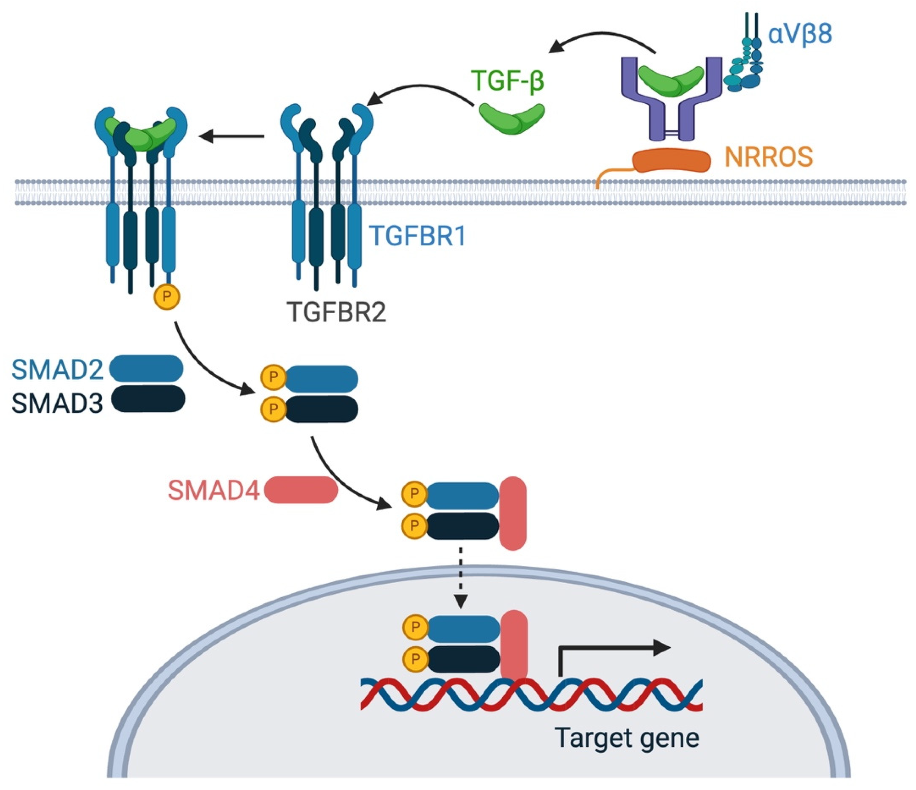 Biomedicines 12 02468 g001