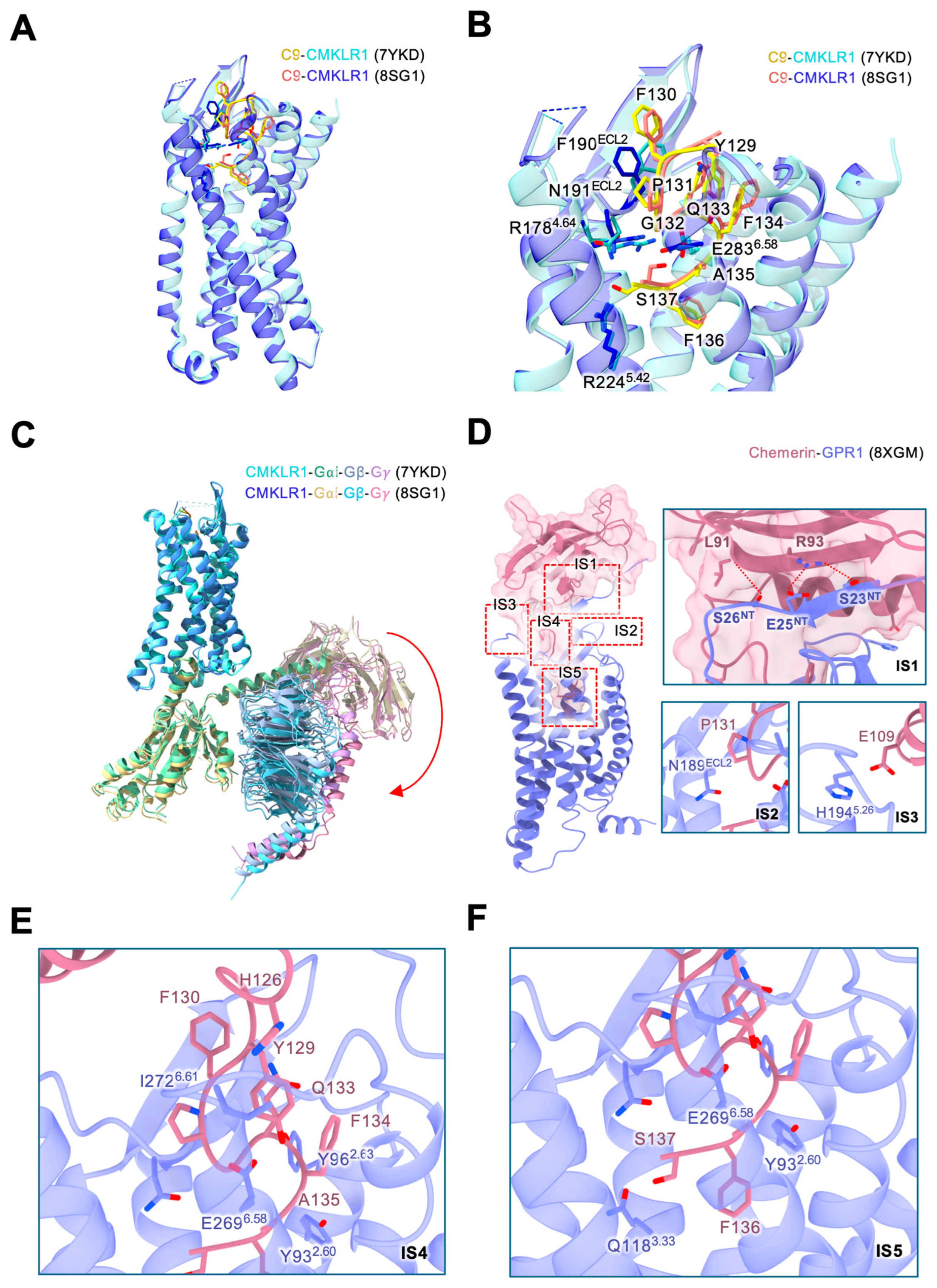 Biomedicines 12 02470 g002