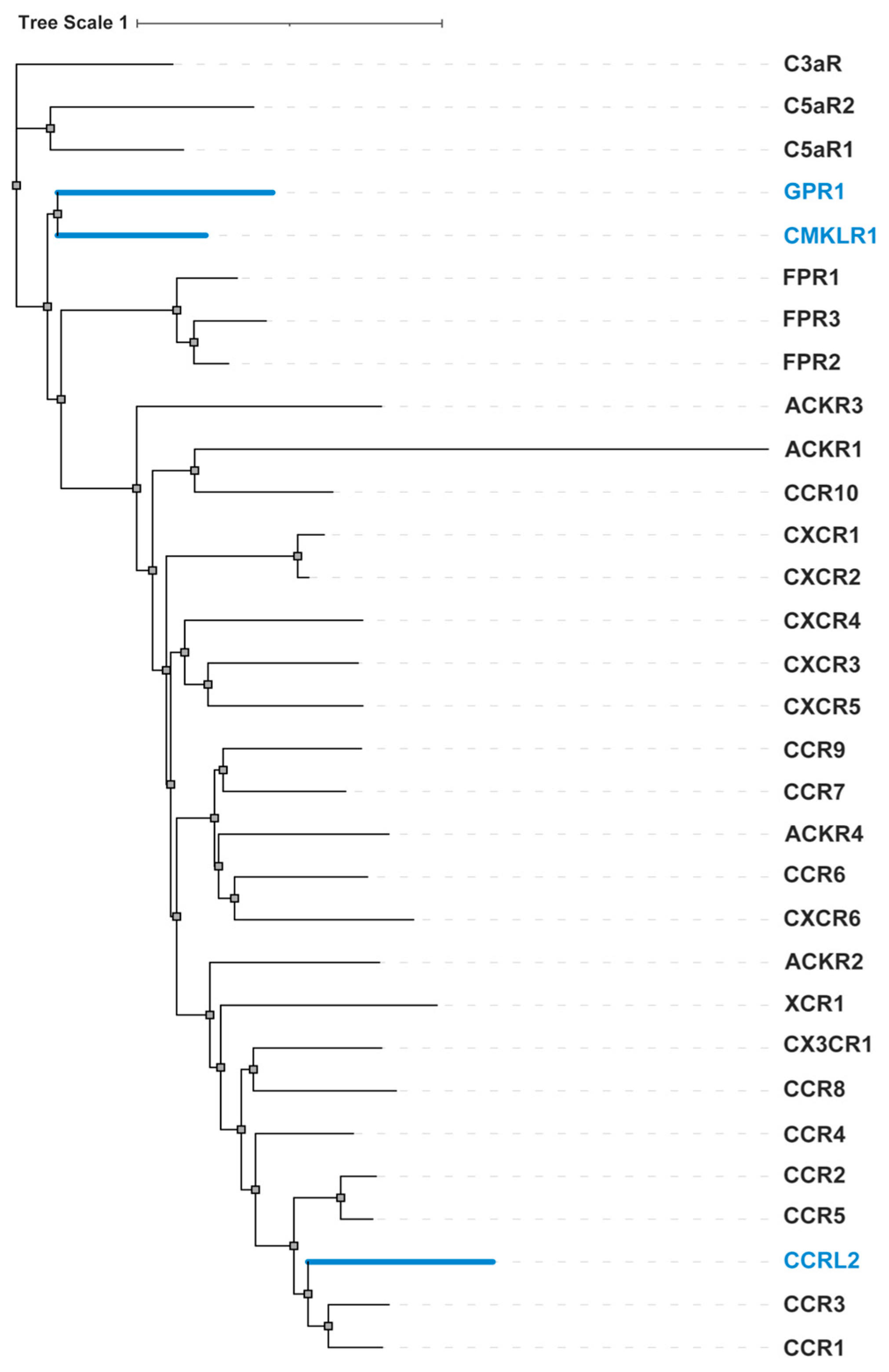 Biomedicines 12 02470 g004
