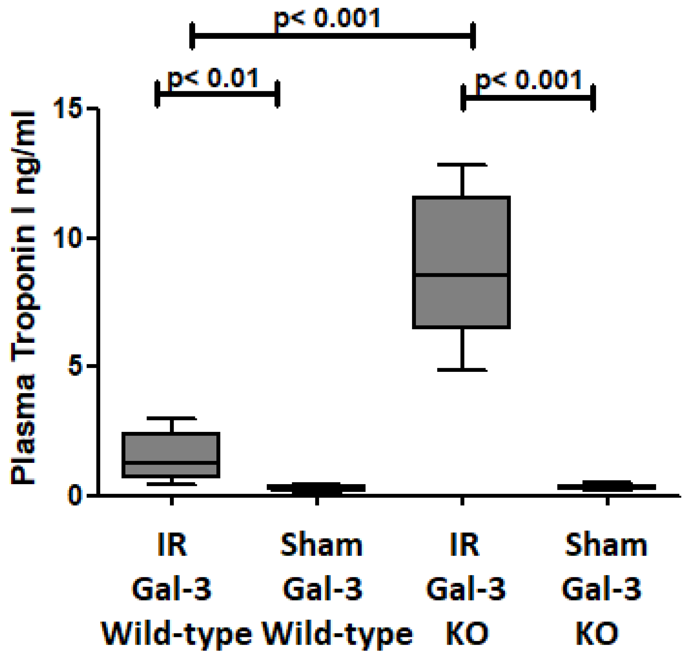 Biomedicines 12 02474 g001