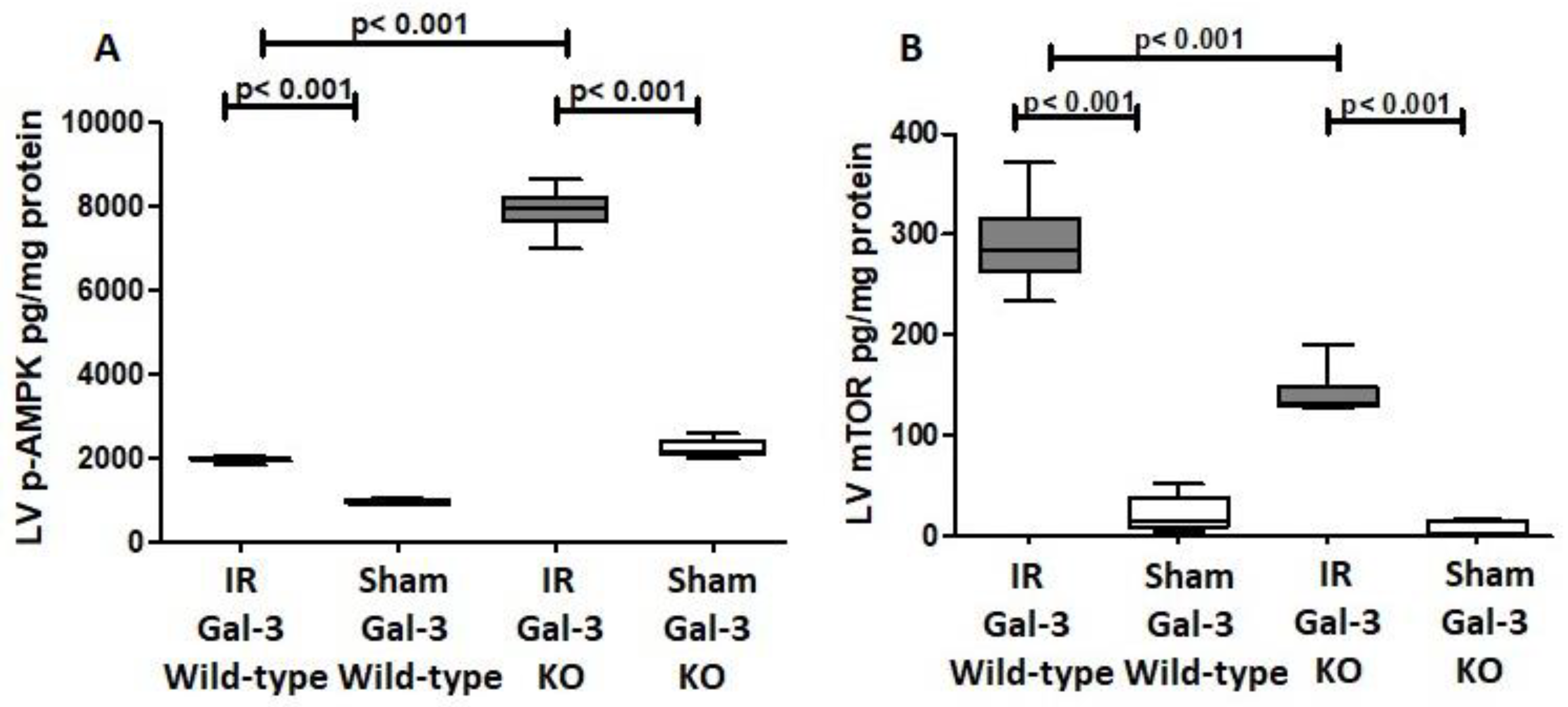 Biomedicines 12 02474 g007
