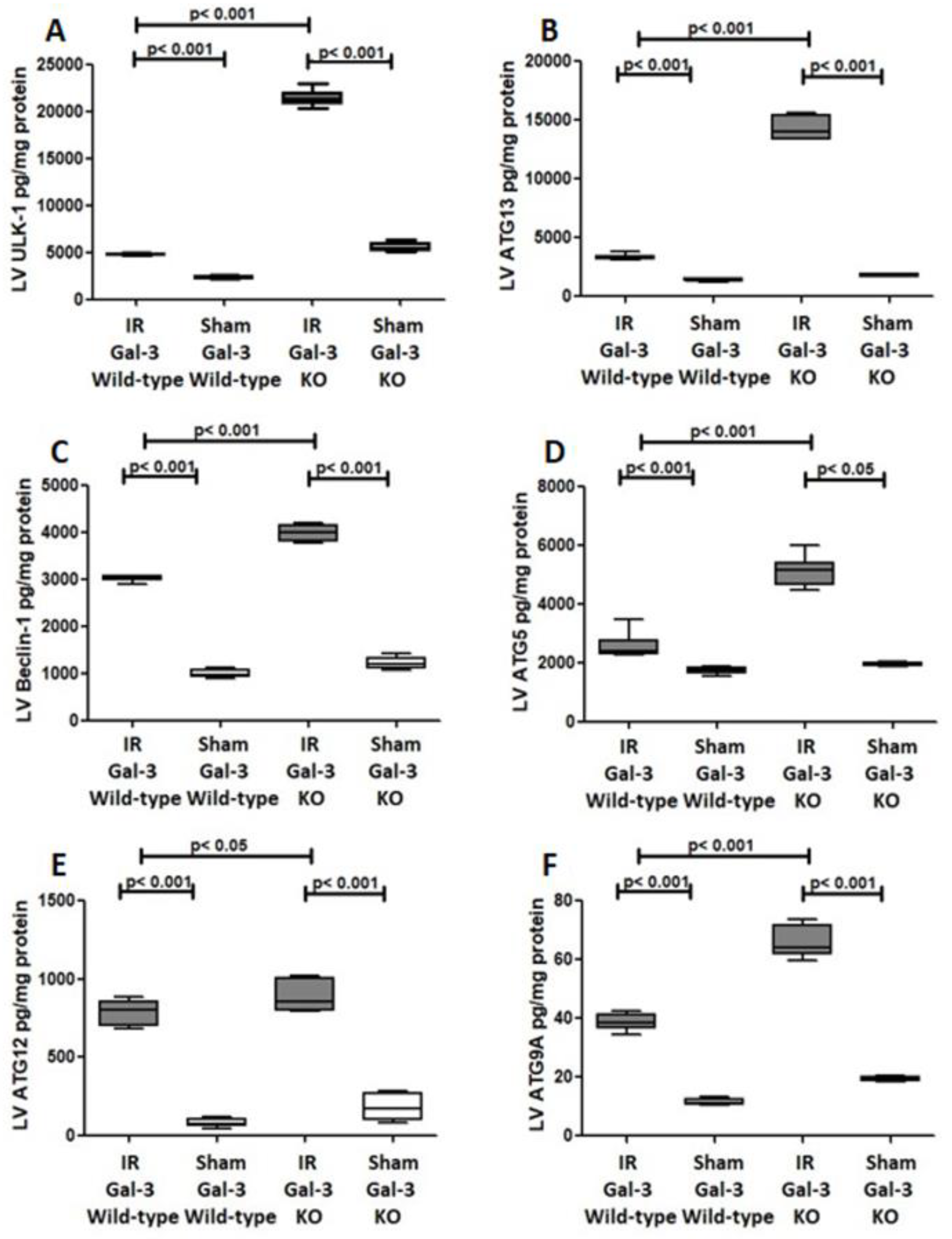 Biomedicines 12 02474 g010