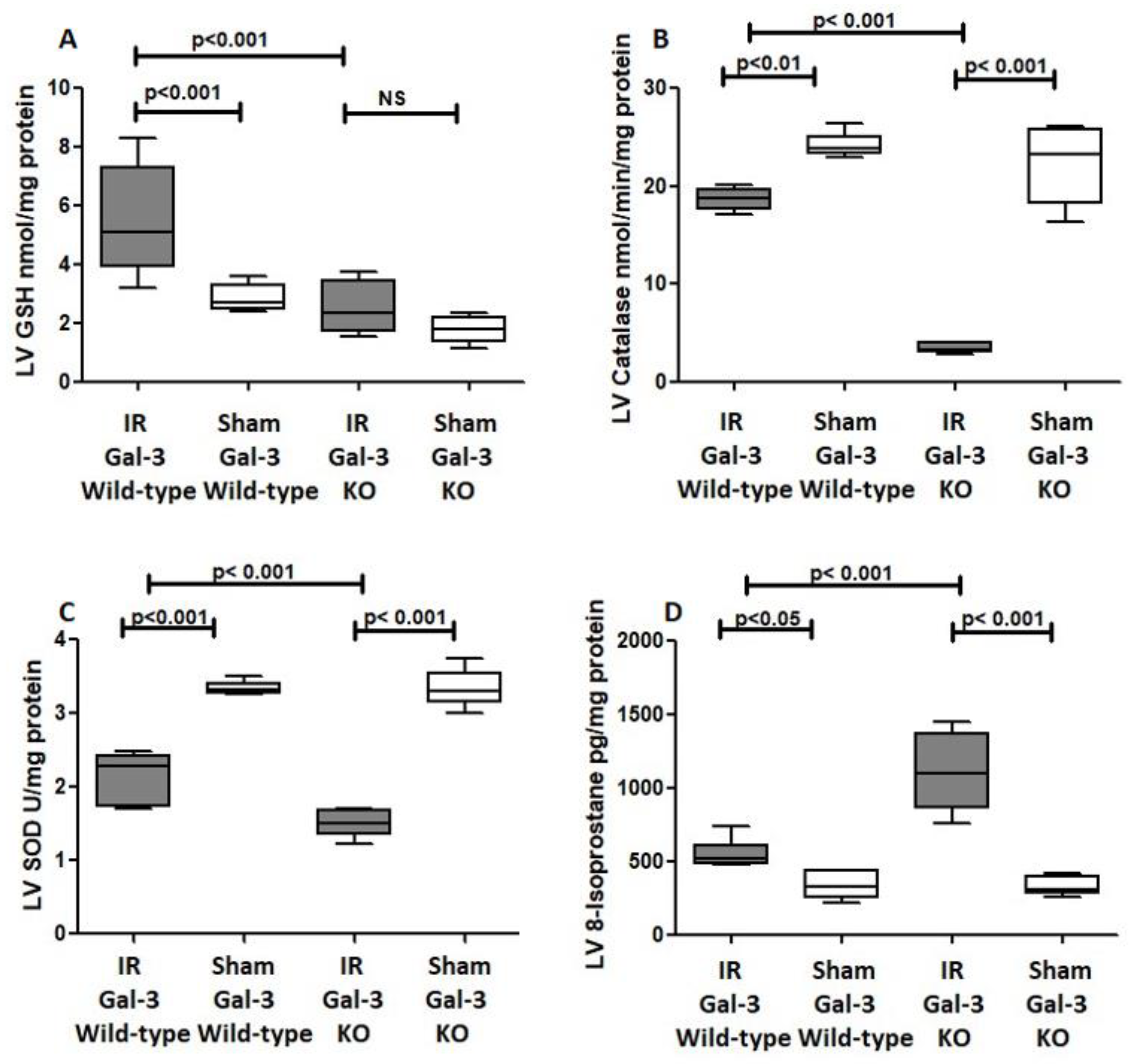 Biomedicines 12 02474 g011