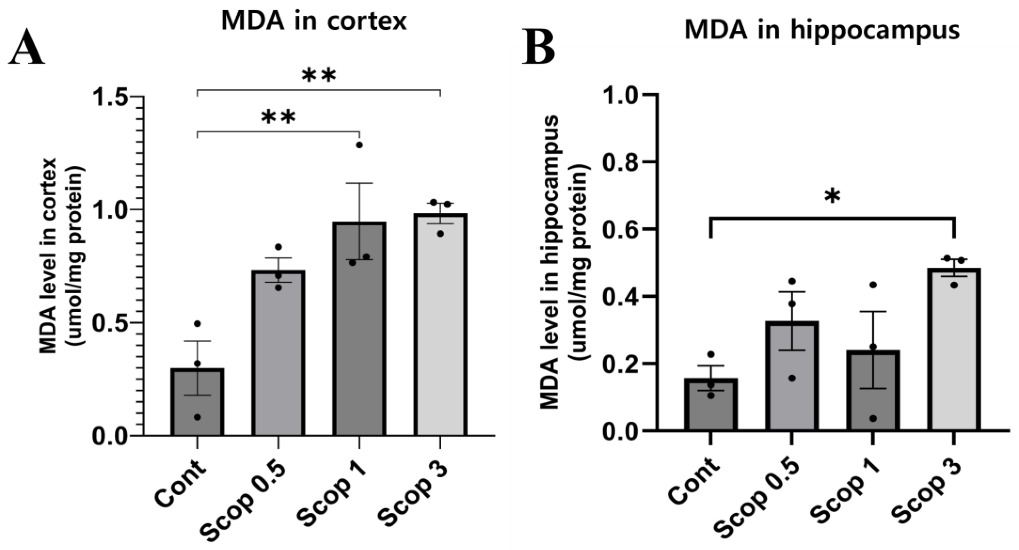 Biomedicines 12 02475 g005