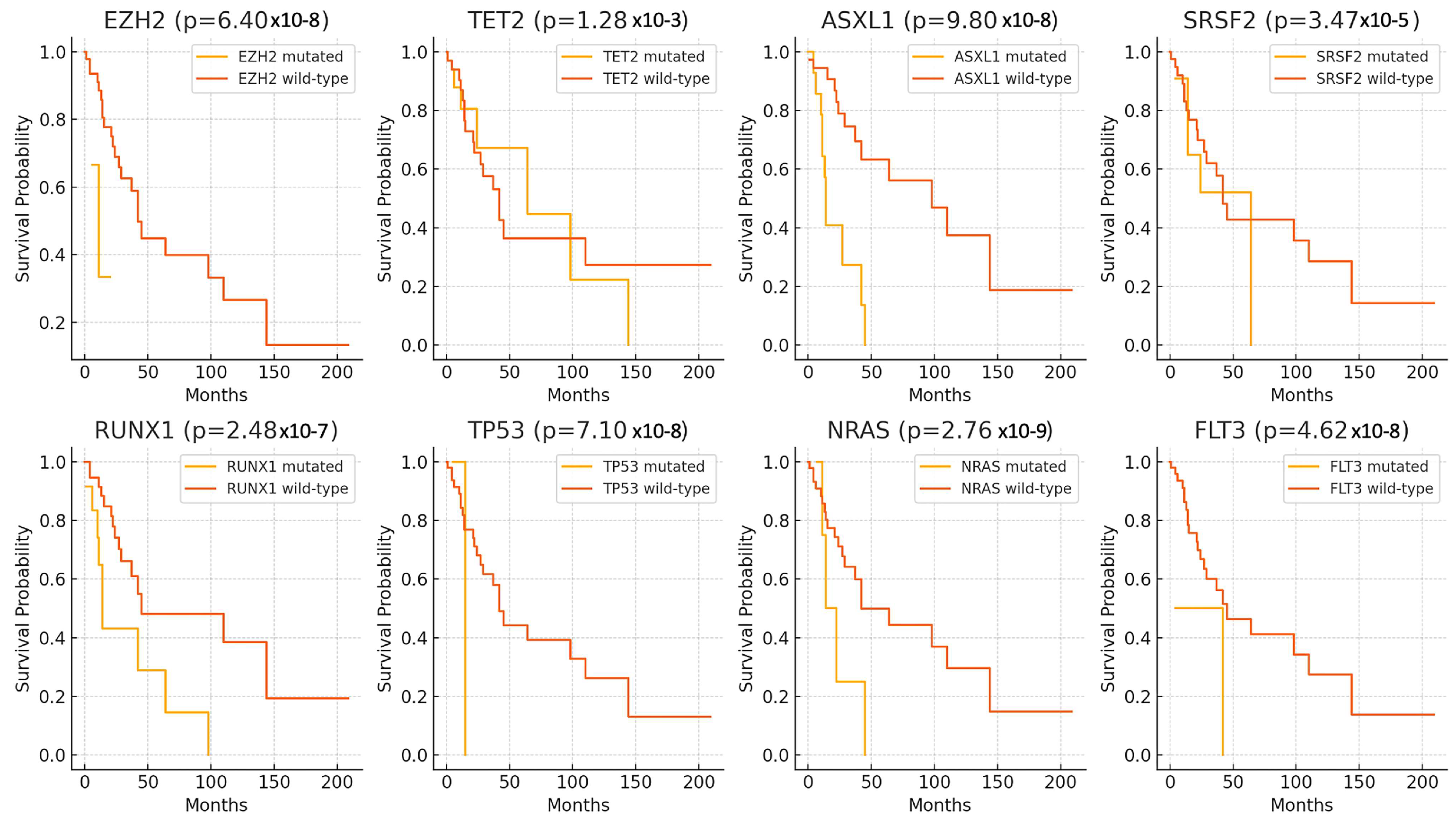 Biomedicines 12 02476 g004