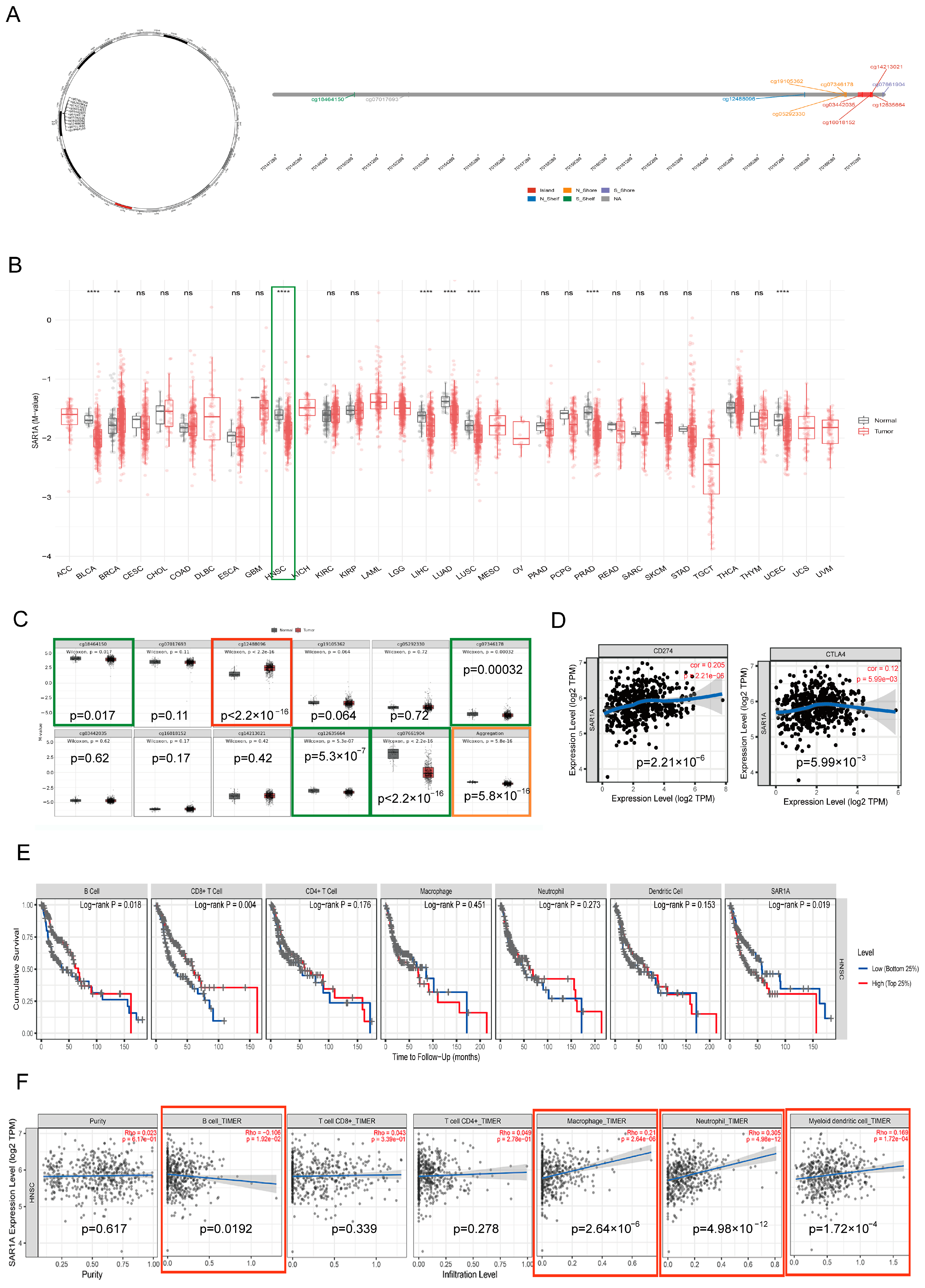 Biomedicines 12 02477 g002 Biomedicines 12 02477 g002