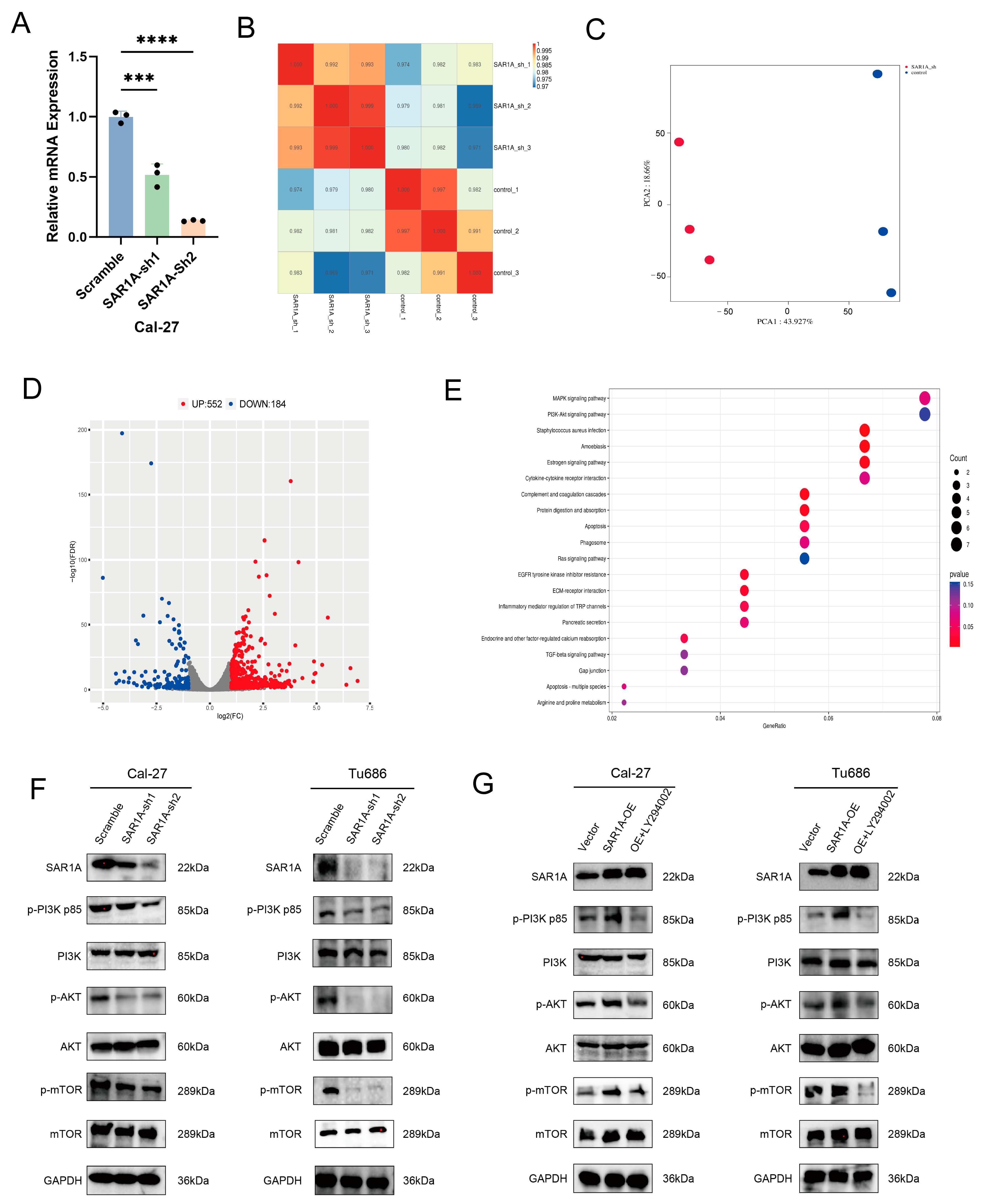 Biomedicines 12 02477 g006 Biomedicines 12 02477 g006