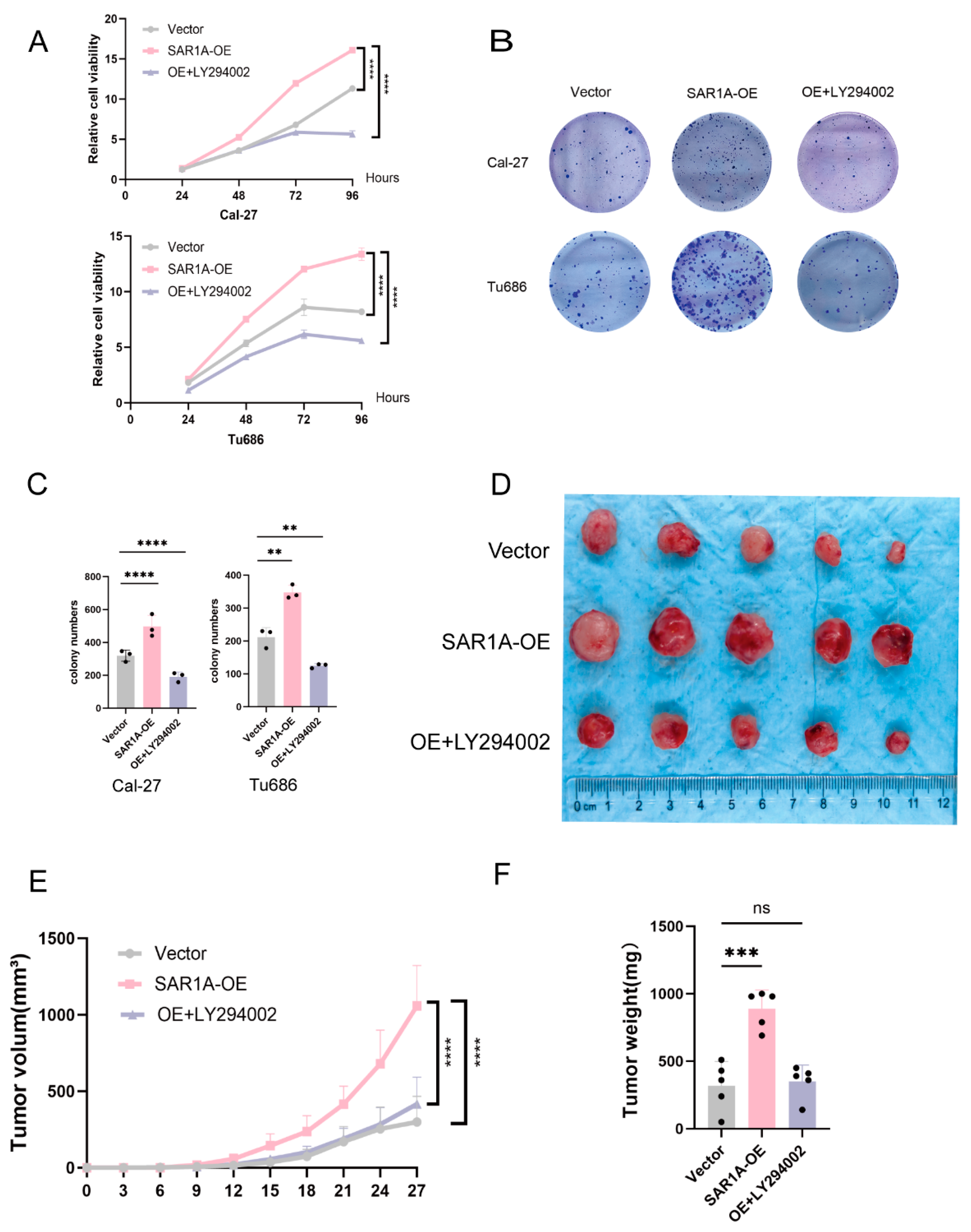 Biomedicines 12 02477 g007 Biomedicines 12 02477 g007