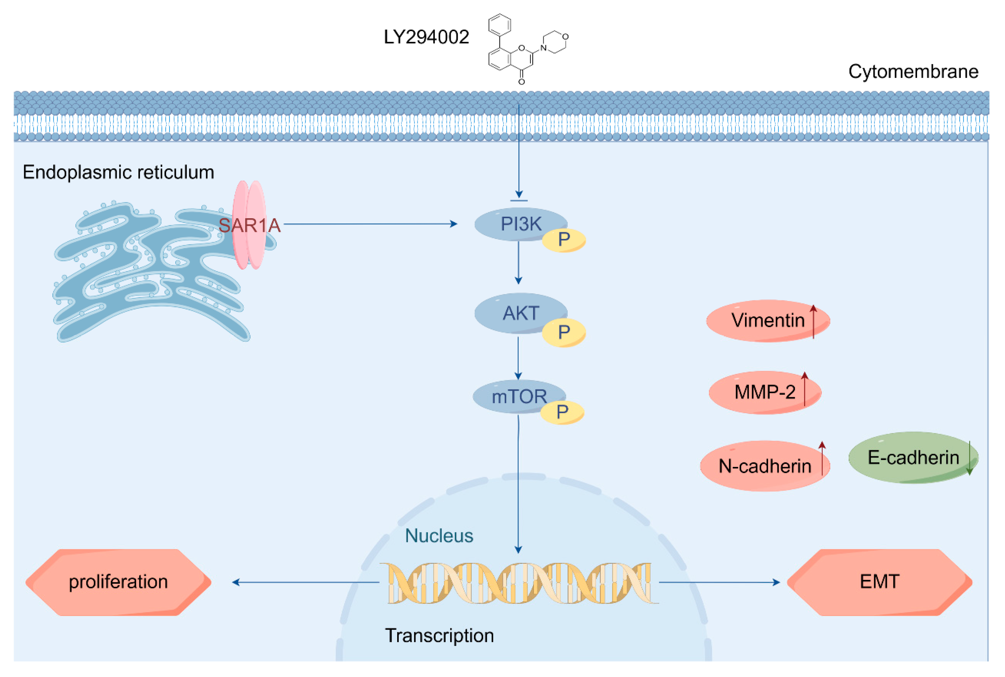 Biomedicines 12 02477 g010 Biomedicines 12 02477 g010