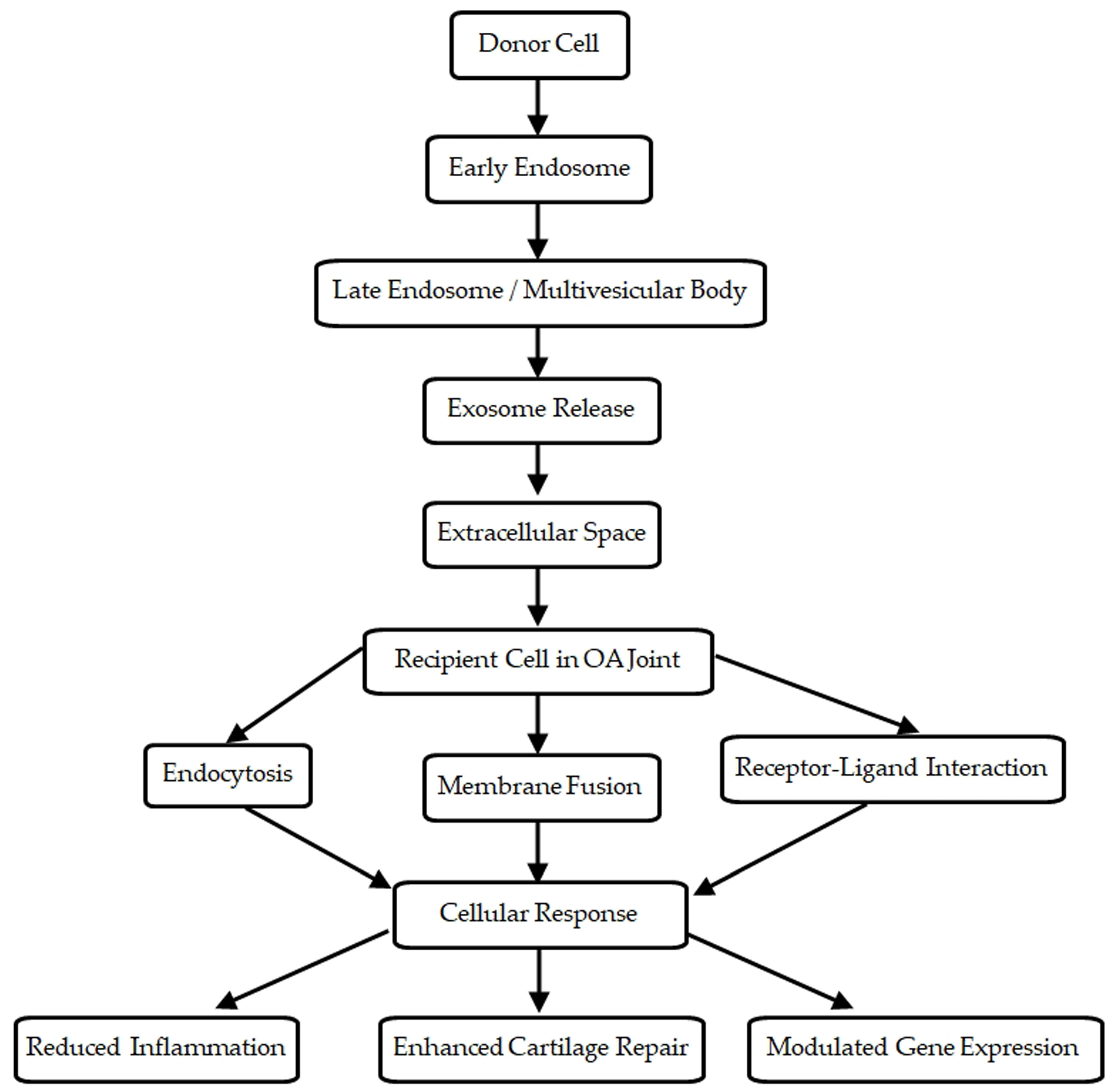 Biomedicines 12 02478 g001