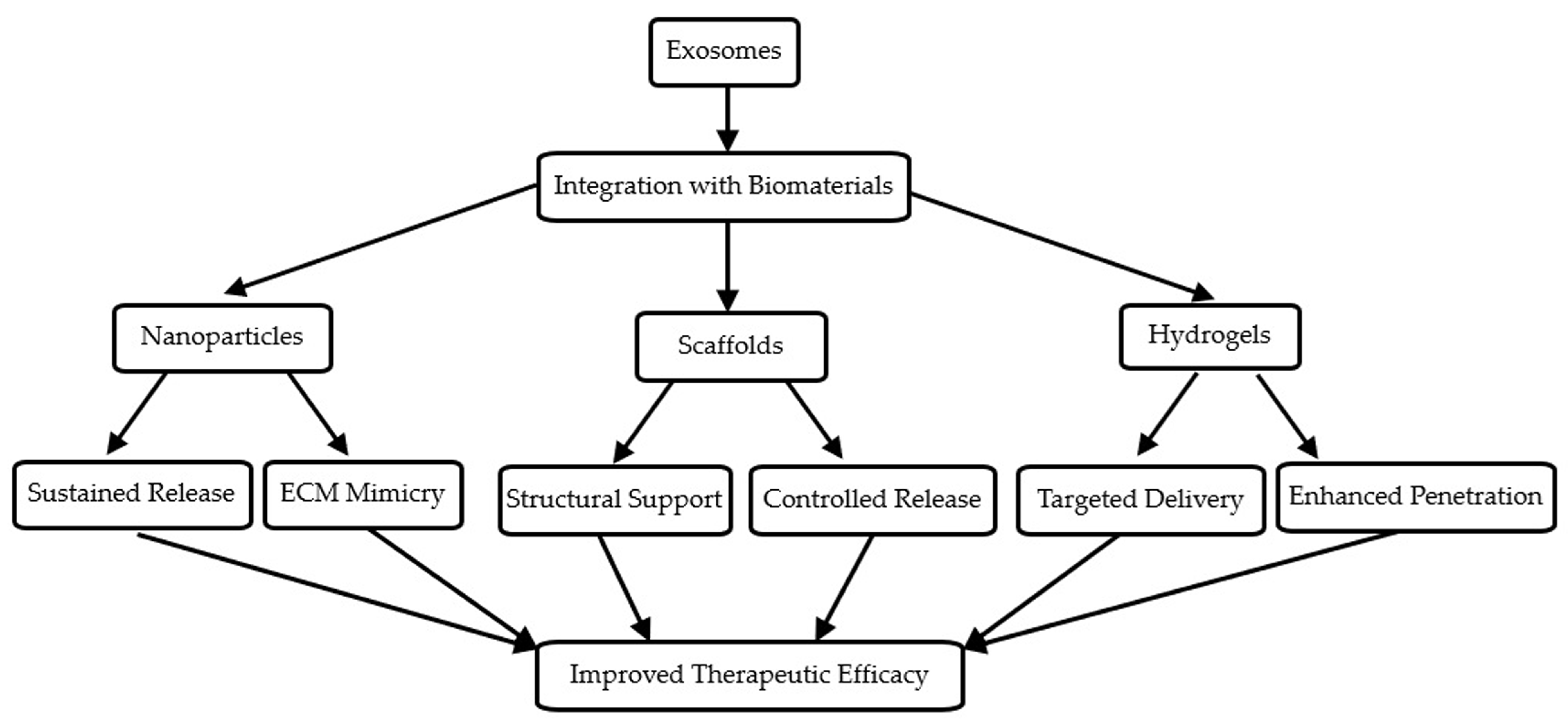 Biomedicines 12 02478 g002