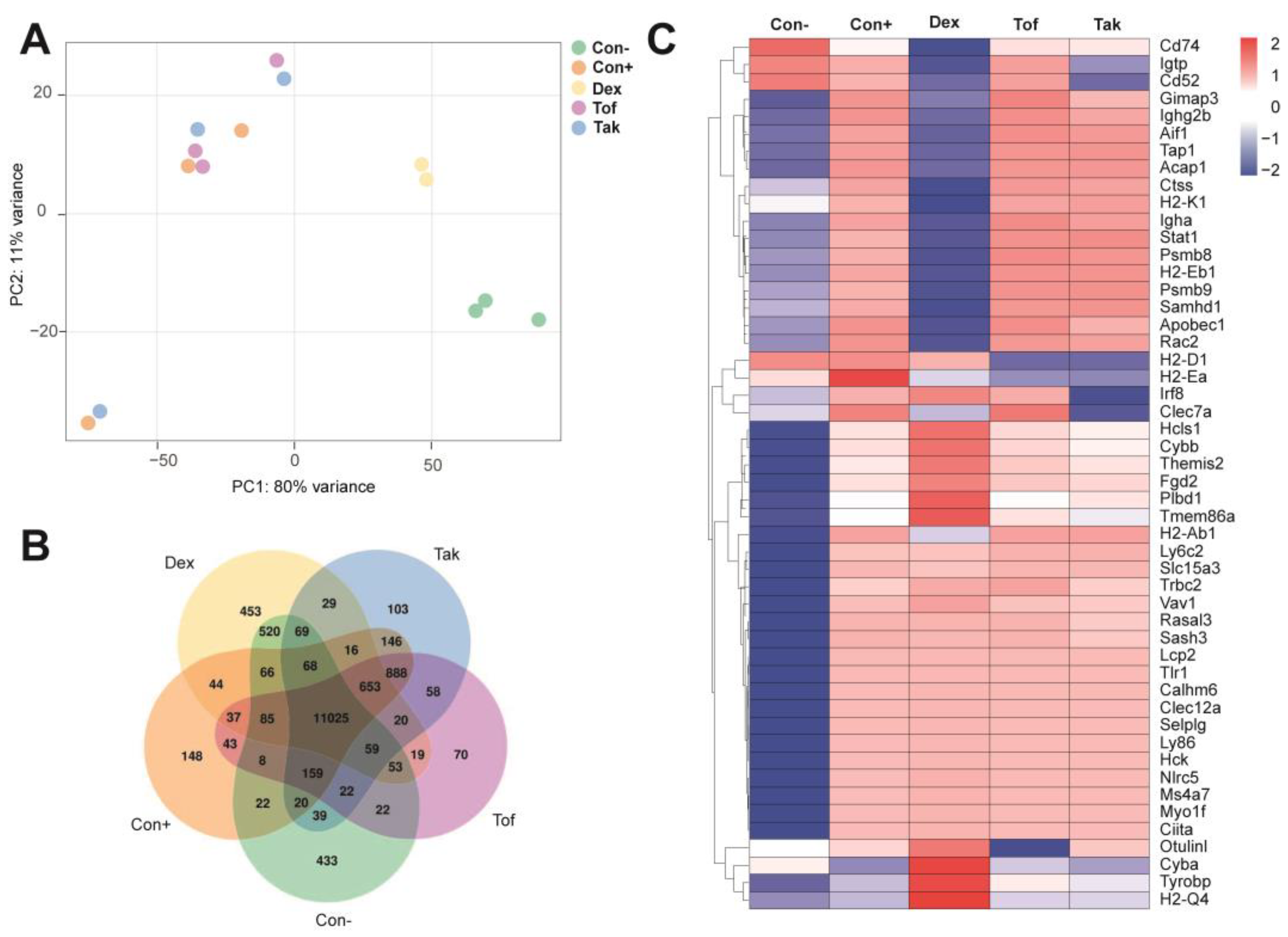 Biomedicines 12 02480 g007