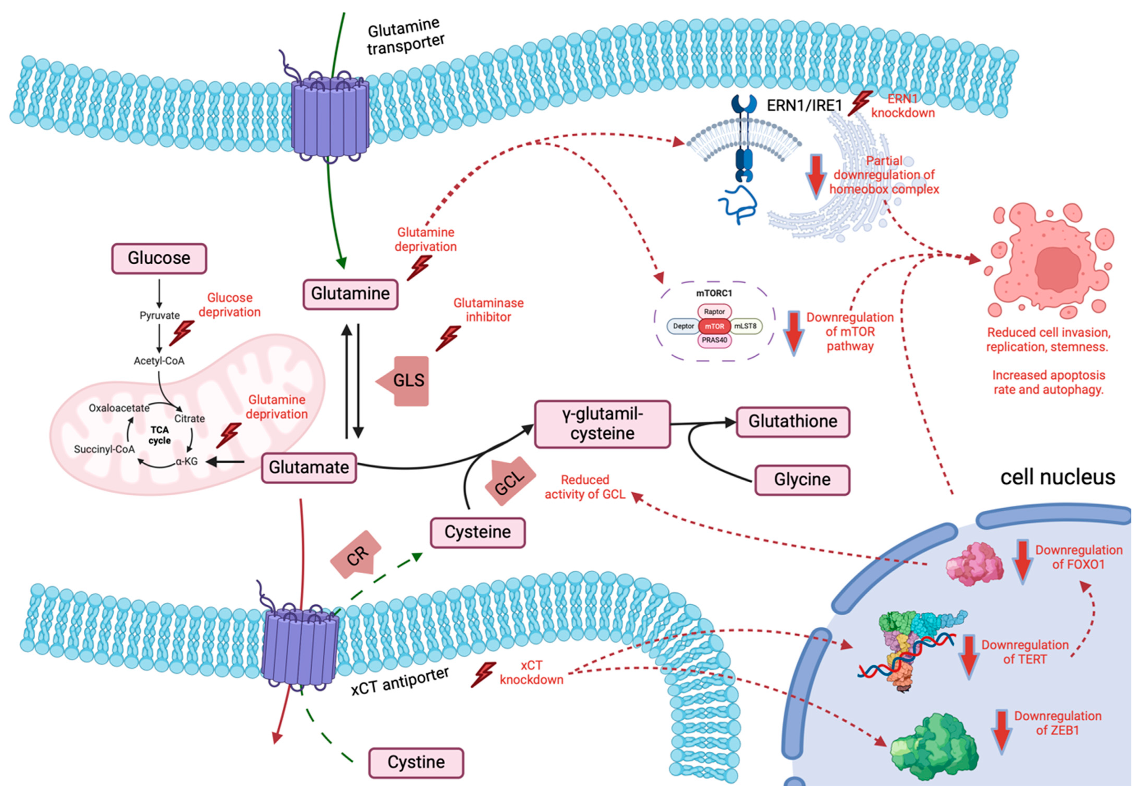 Biomedicines 12 02481 g001 Biomedicines 12 02481 g001