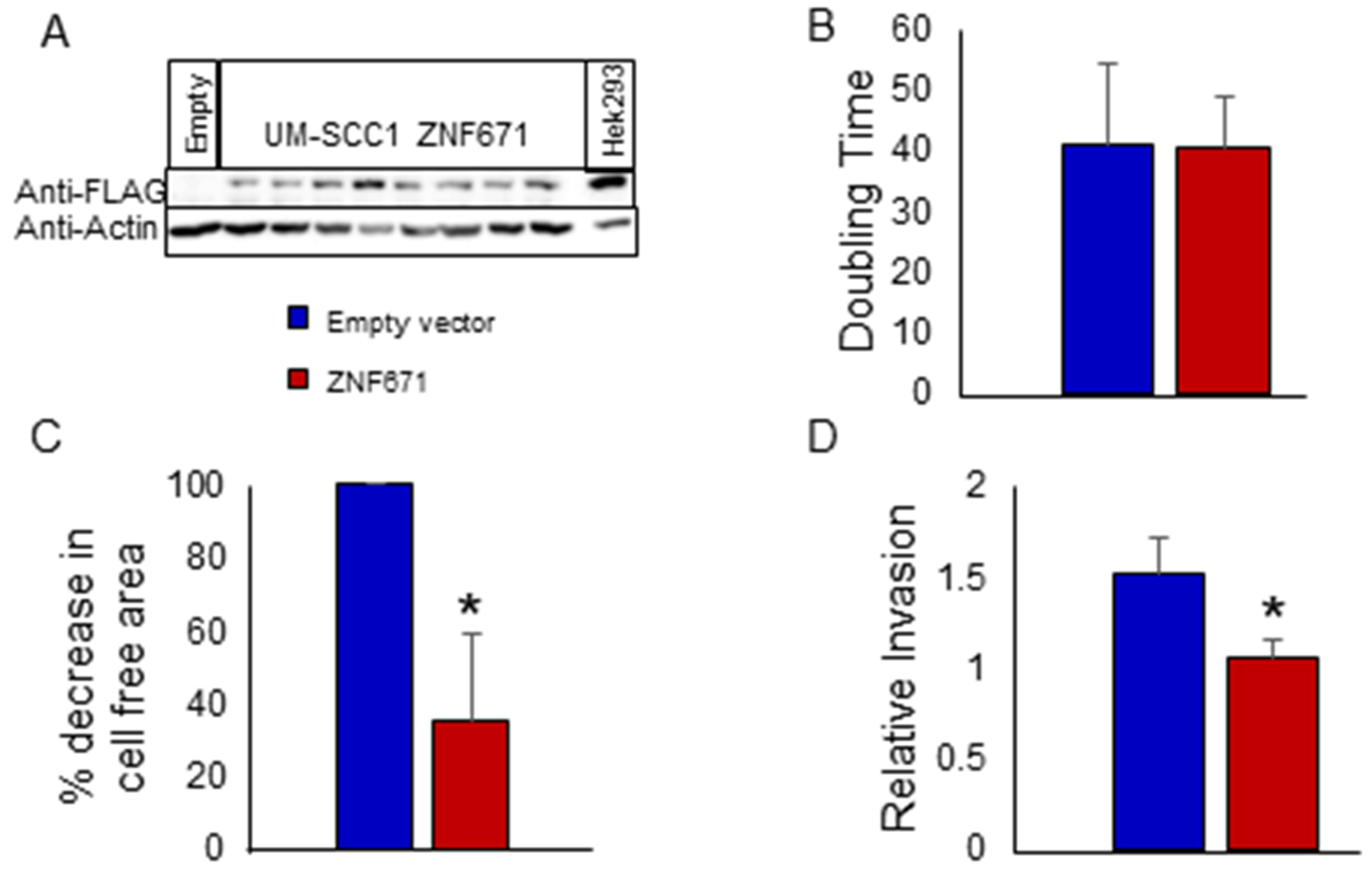 Biomedicines 12 02482 g003