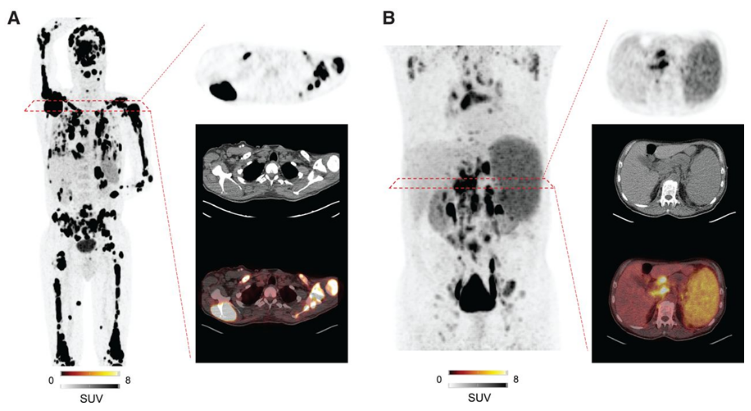 Biomedicines 12 02485 g004
