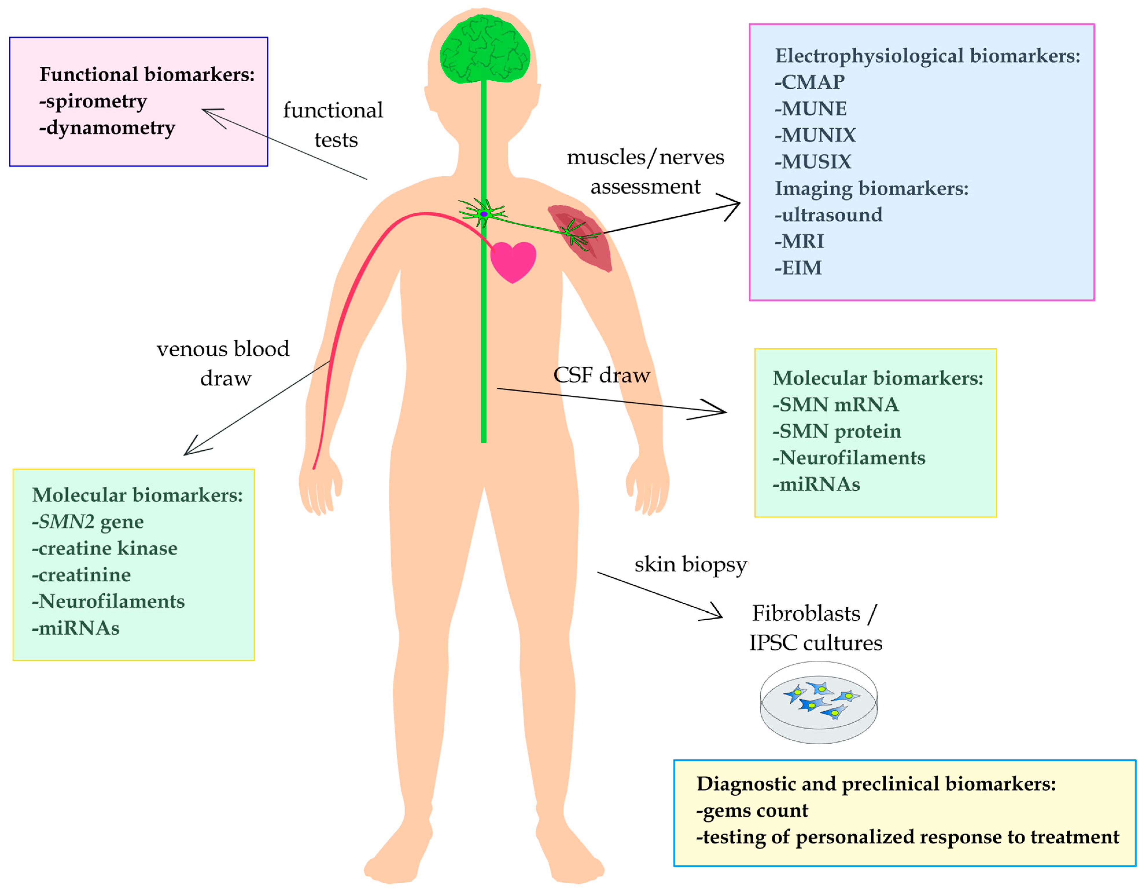 Biomedicines 12 02486 g001 Biomedicines 12 02486 g001