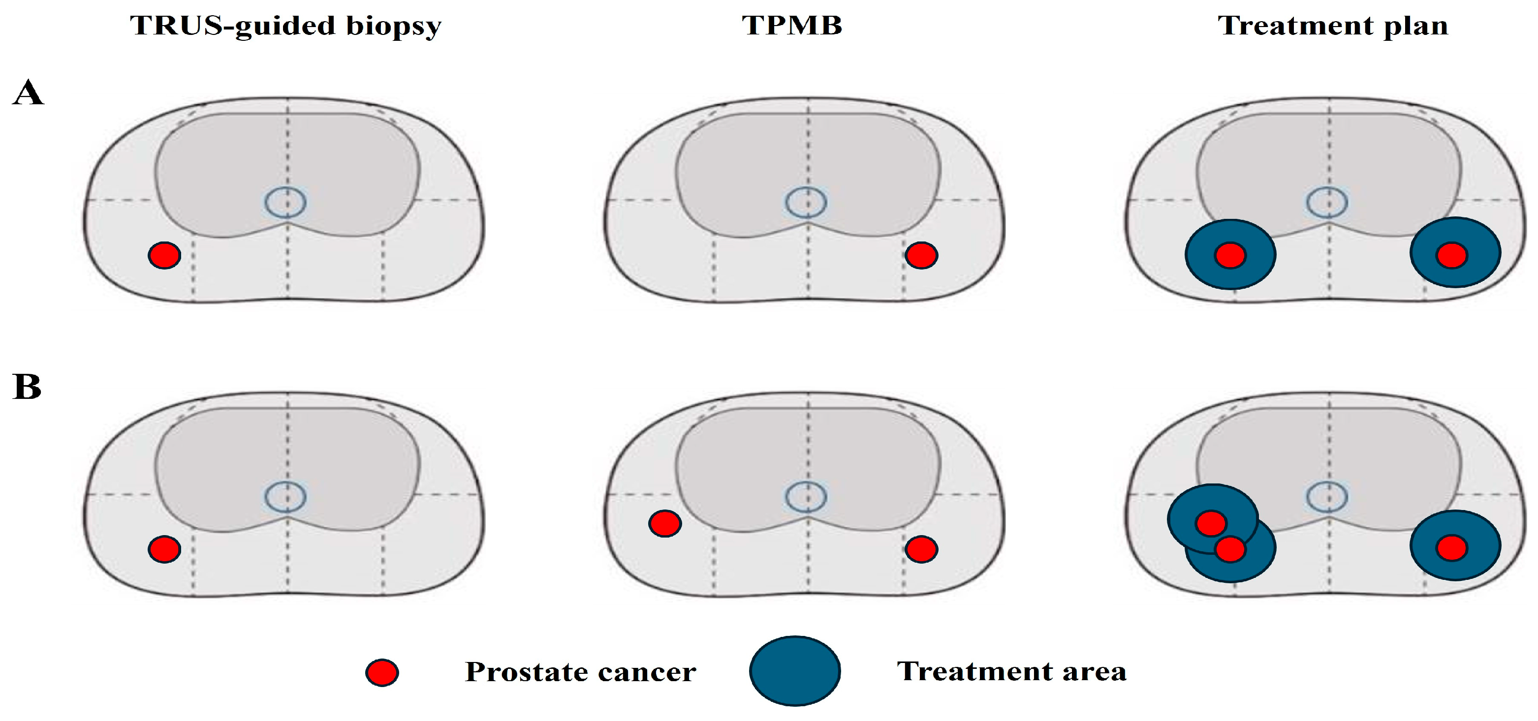 Biomedicines 12 02487 g001