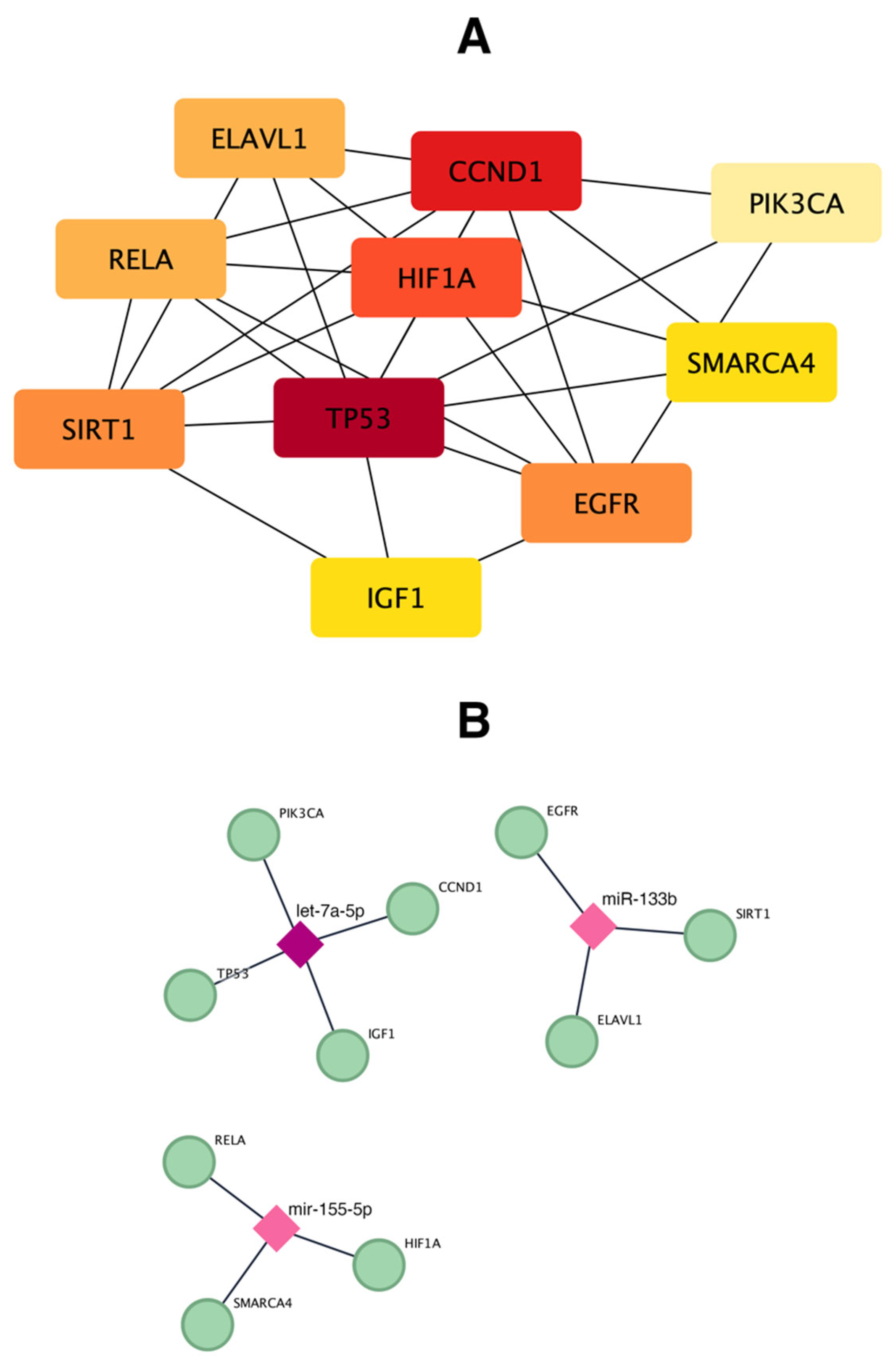 Biomedicines 12 02494 g004