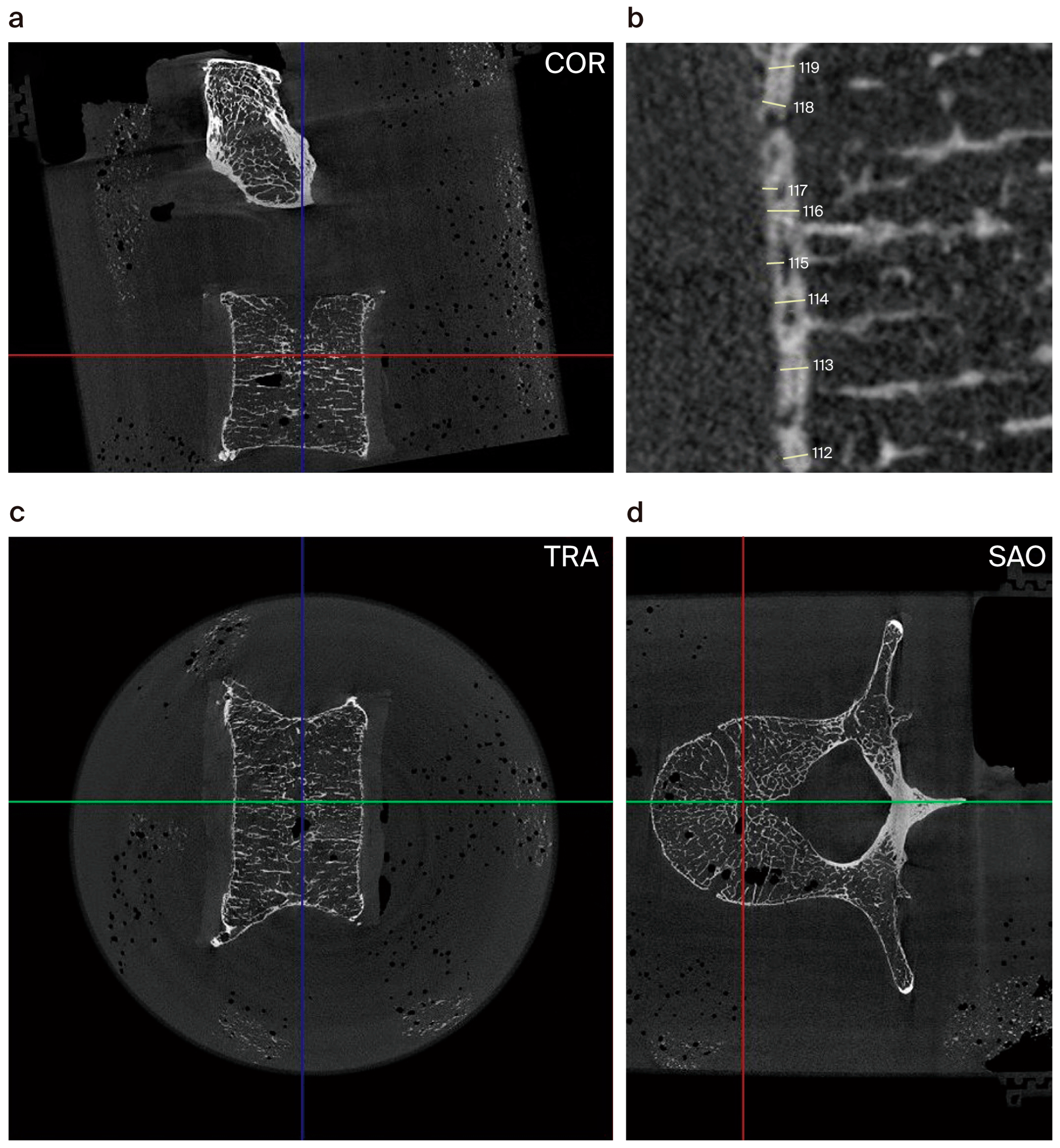 Biomedicines 12 02496 g002