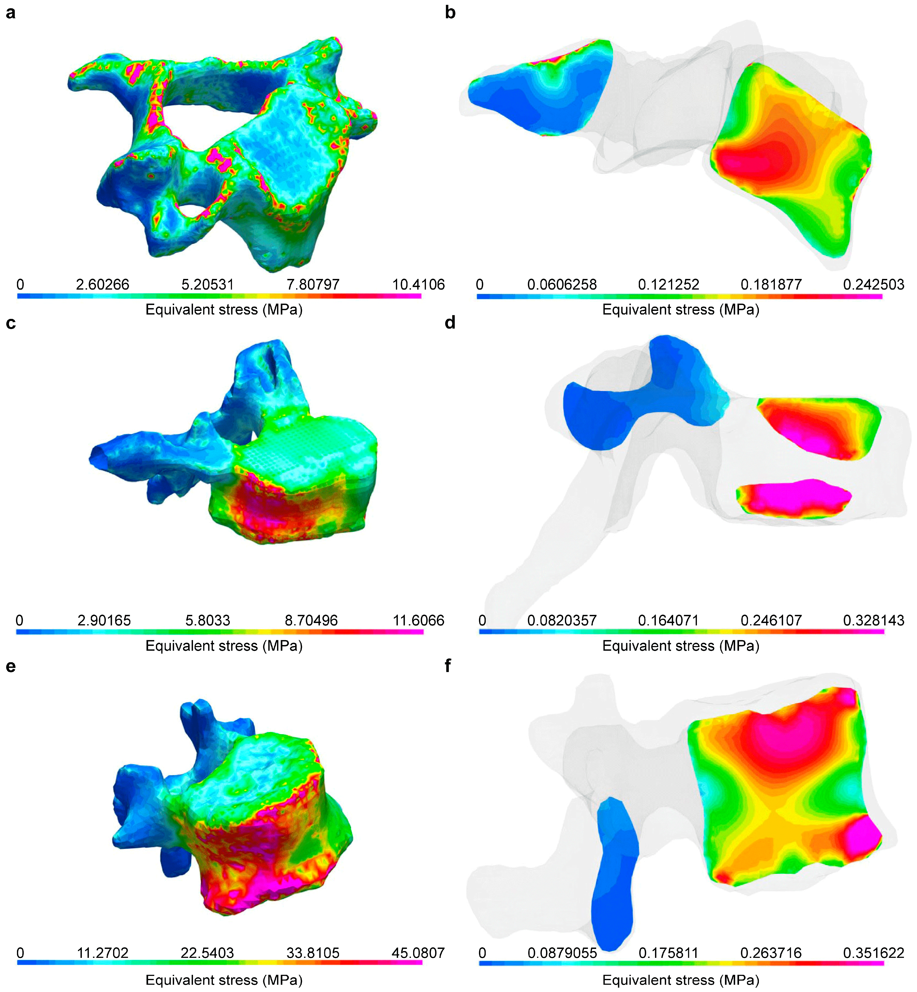 Biomedicines 12 02496 g006
