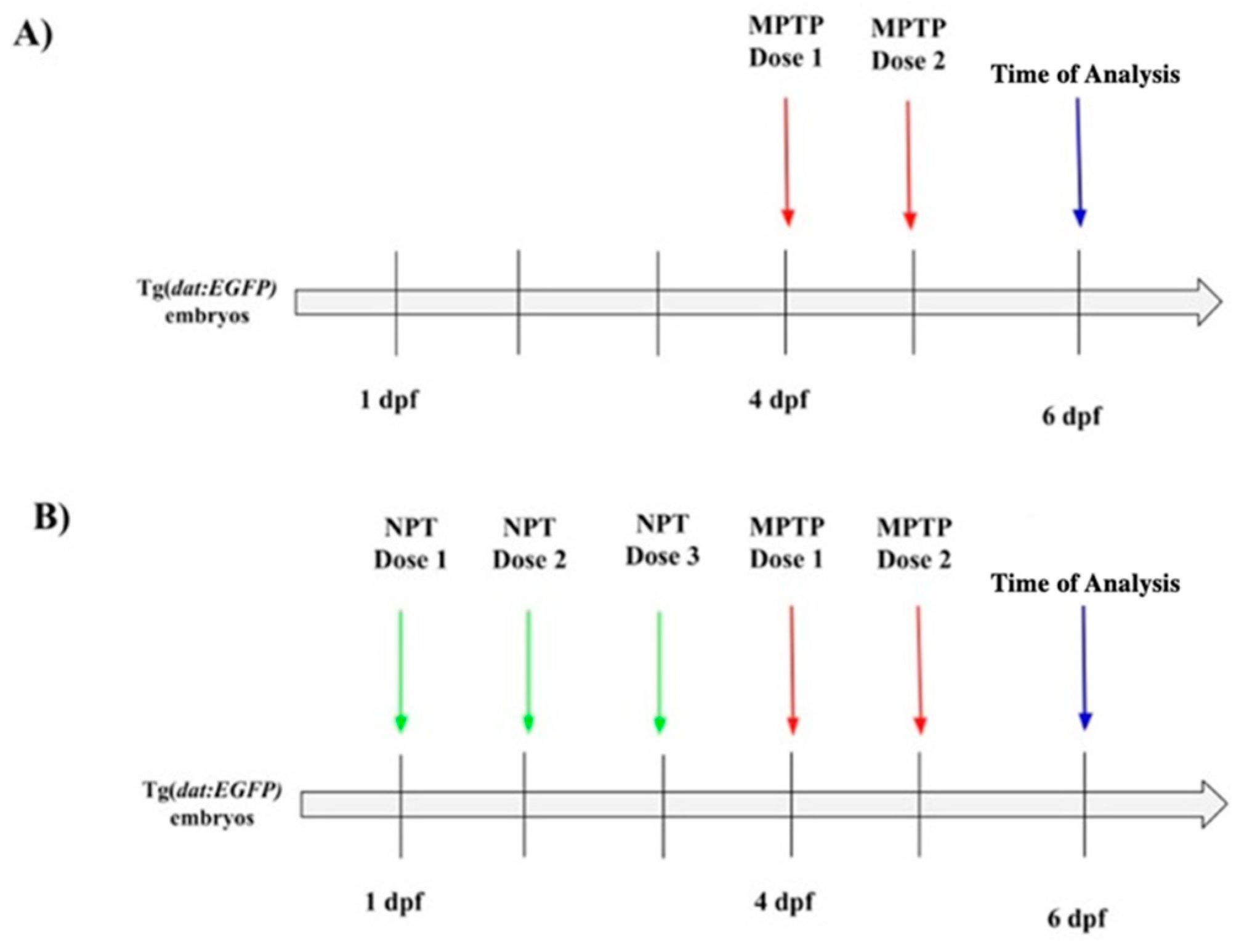 Biomedicines 12 02497 g001