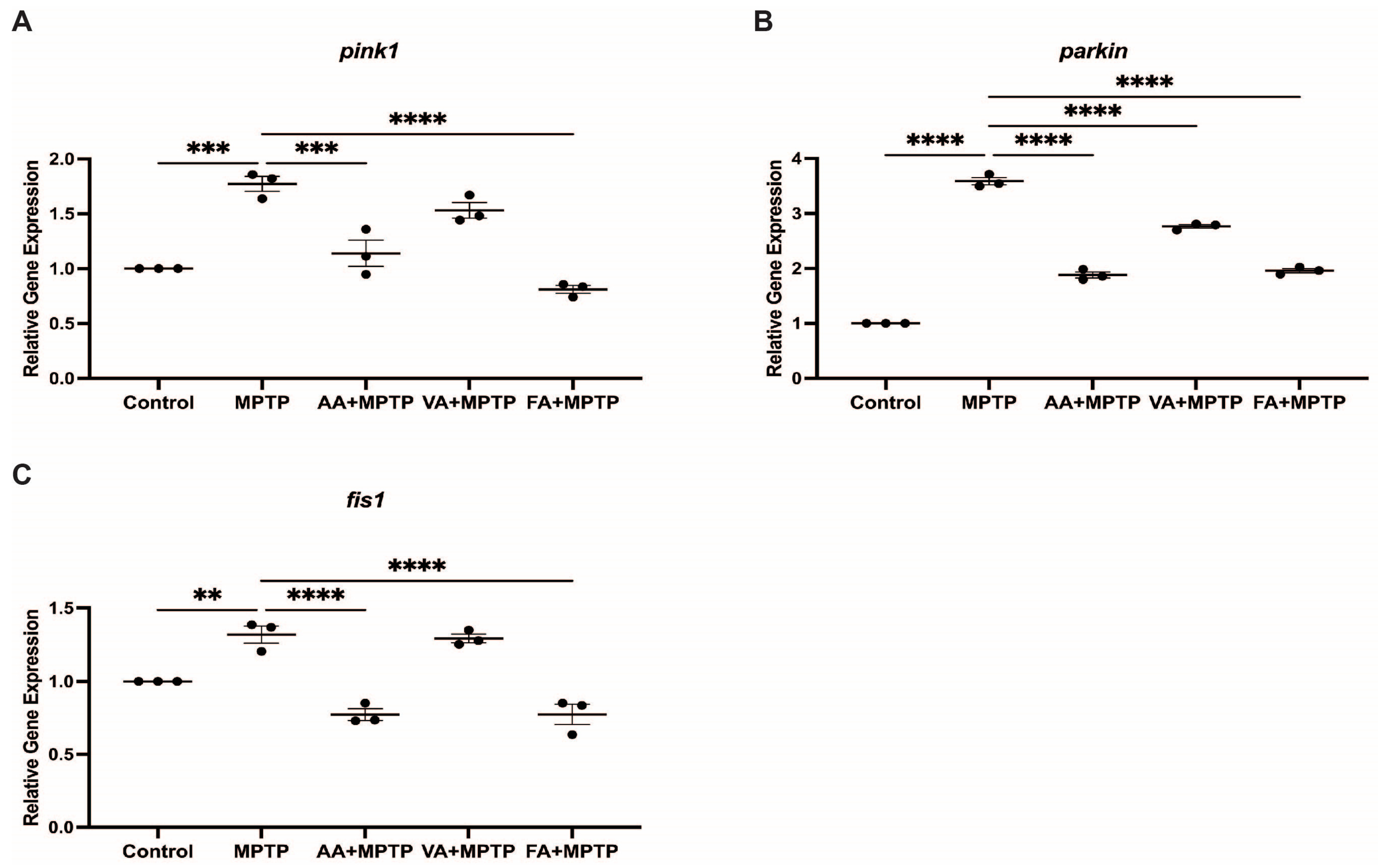 Biomedicines 12 02497 g004