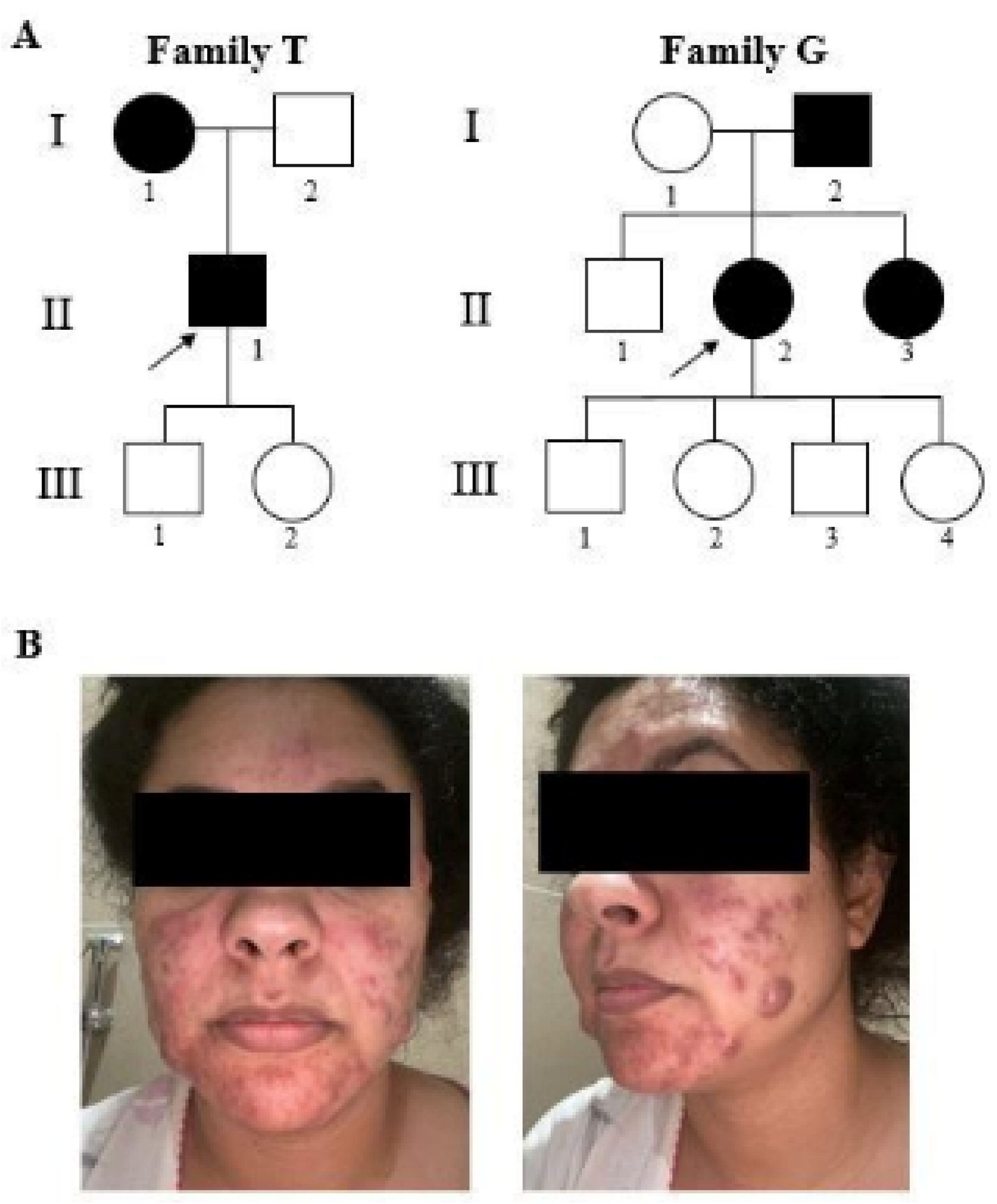 Biomedicines 12 02498 g001