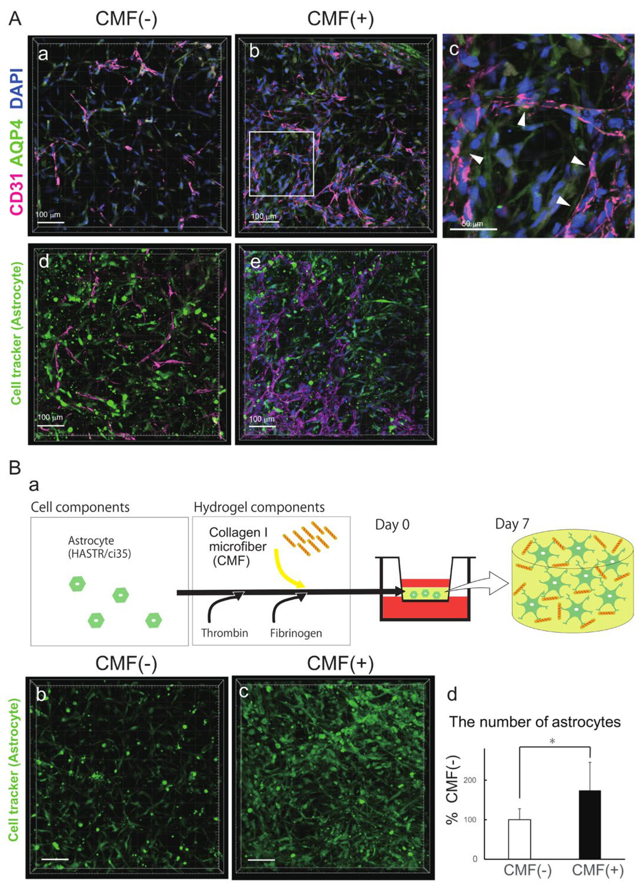 Biomedicines 12 02500 g002 Biomedicines 12 02500 g002