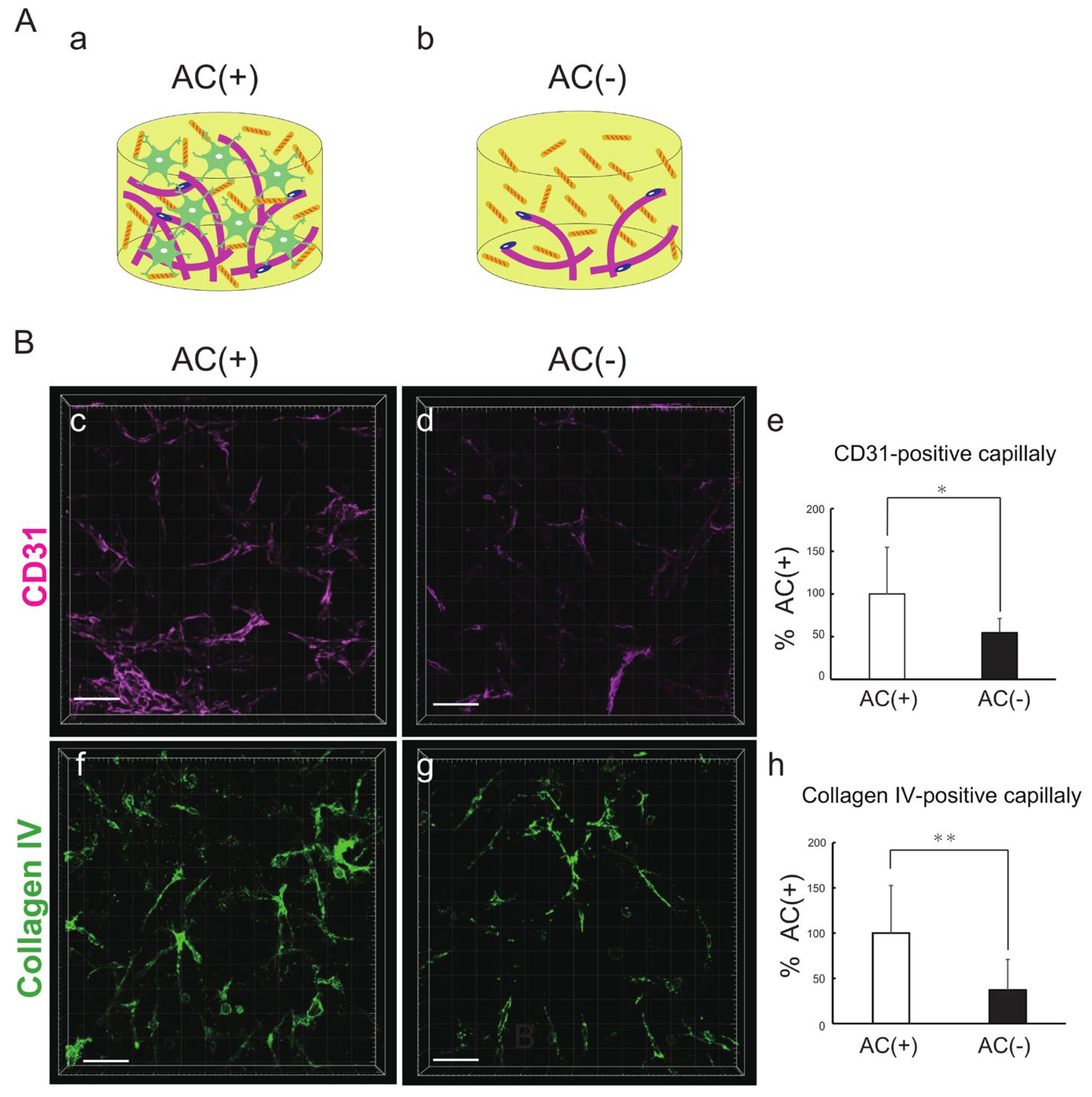 Biomedicines 12 02500 g003 Biomedicines 12 02500 g003