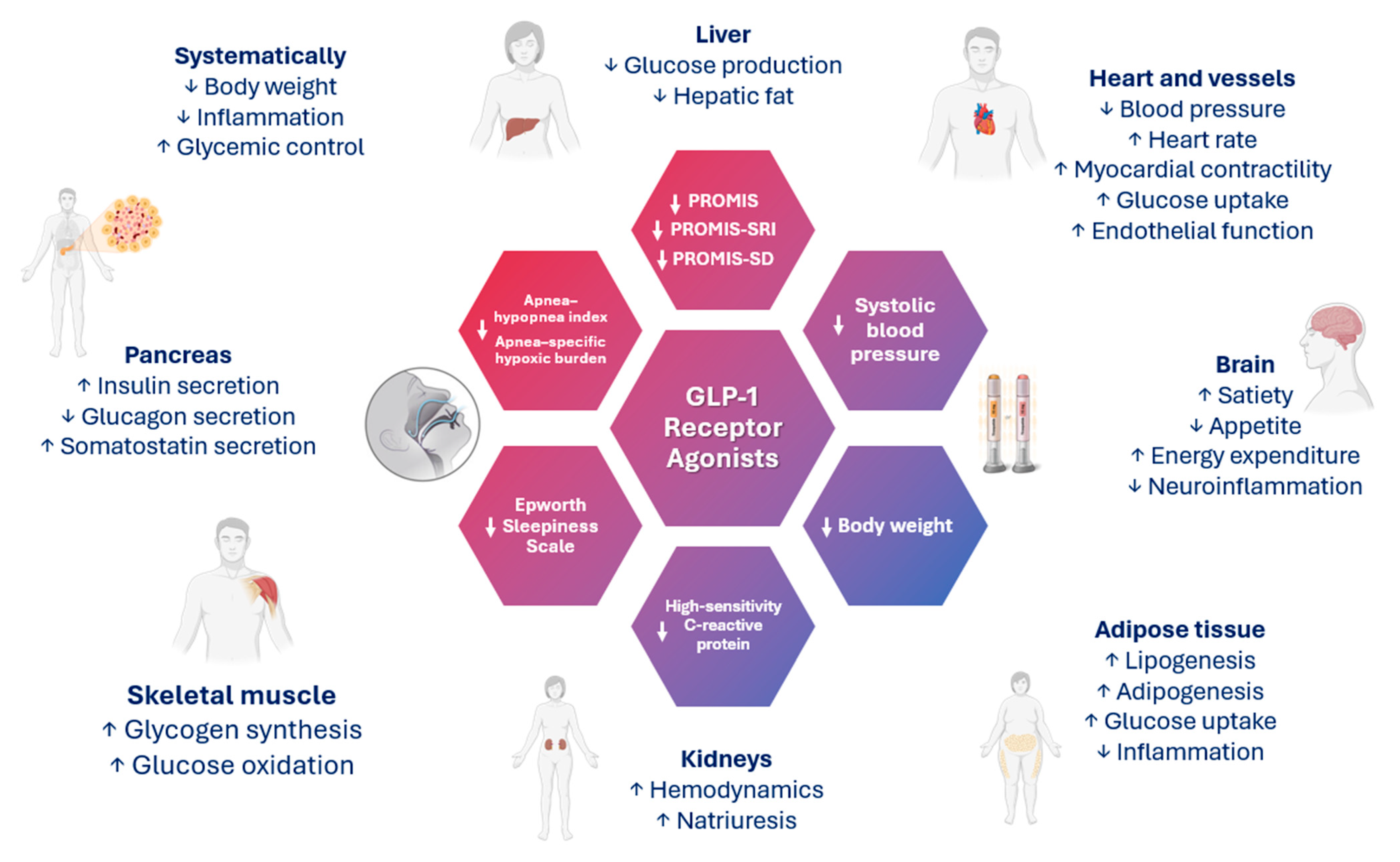 Biomedicines 12 02503 g002