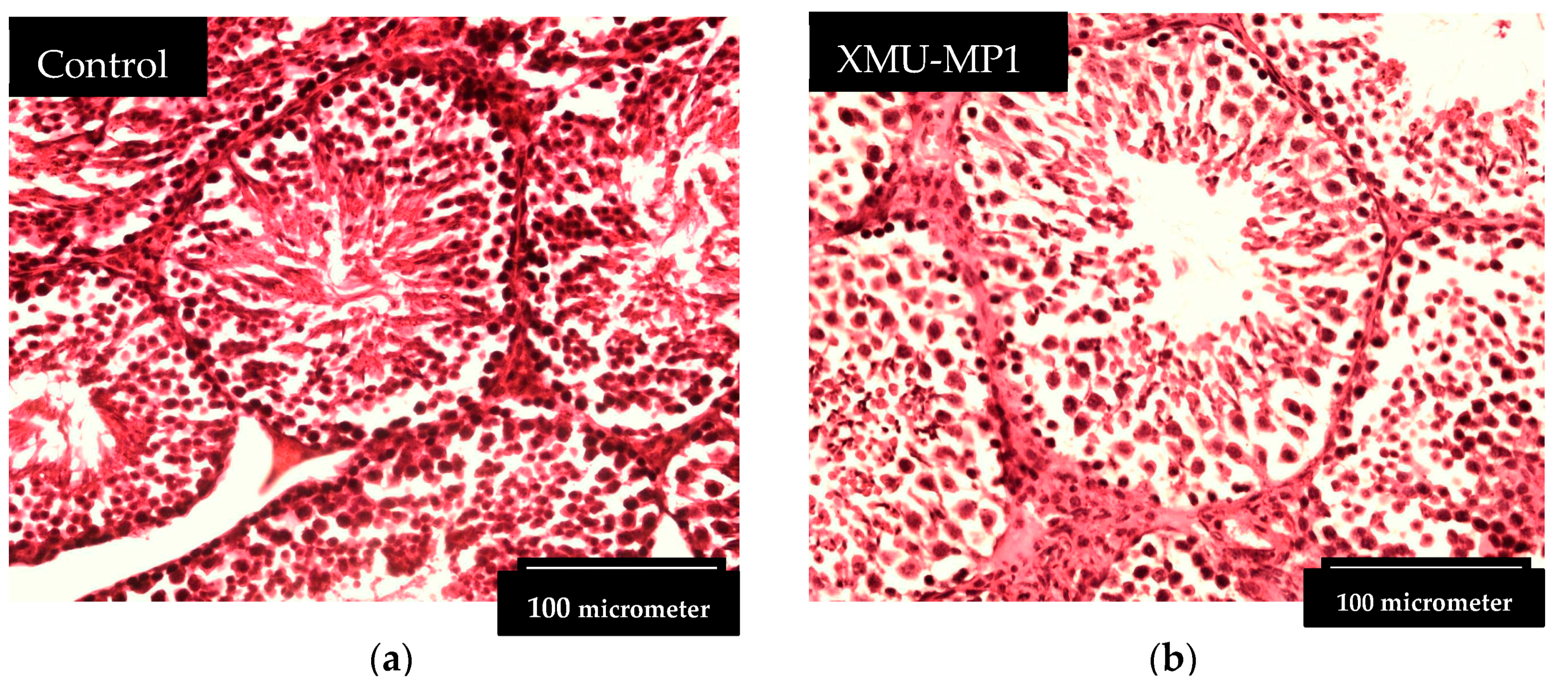 Biomedicines 12 02513 g001