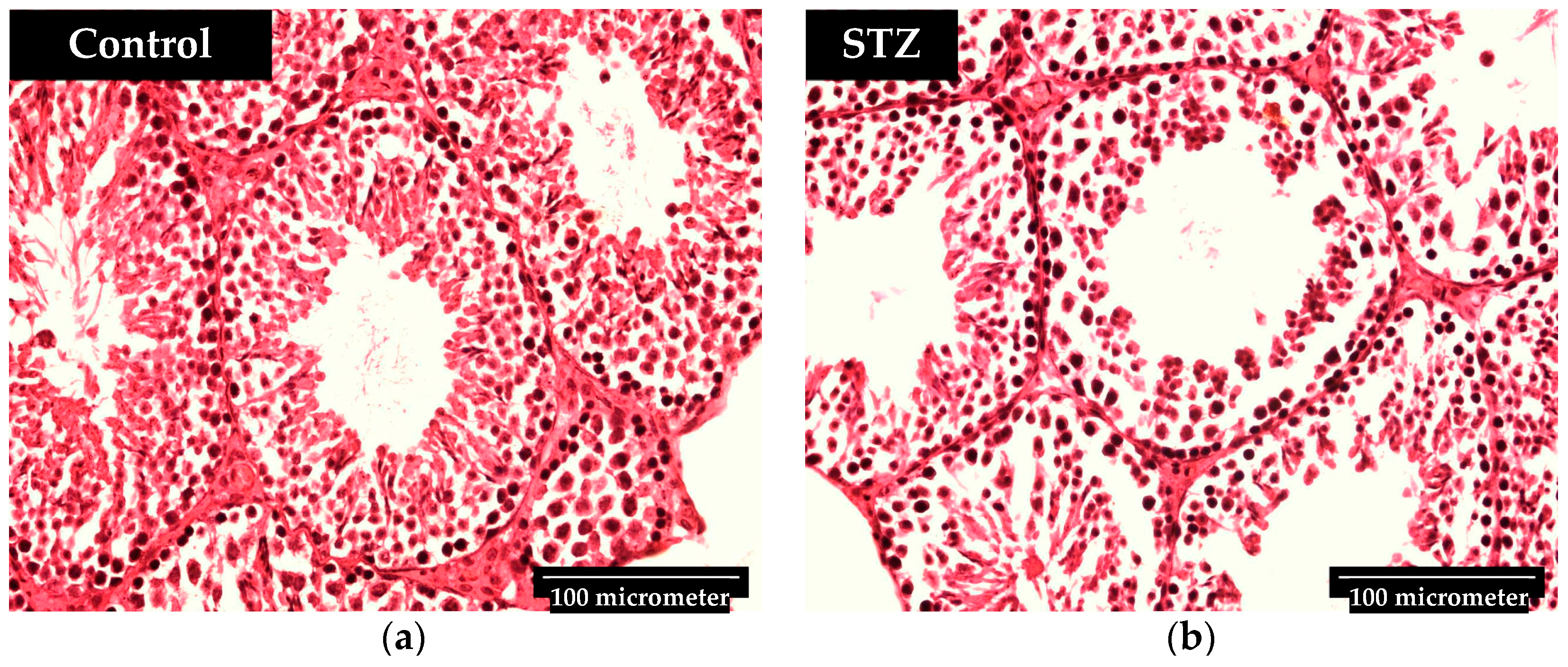 Biomedicines 12 02513 g005
