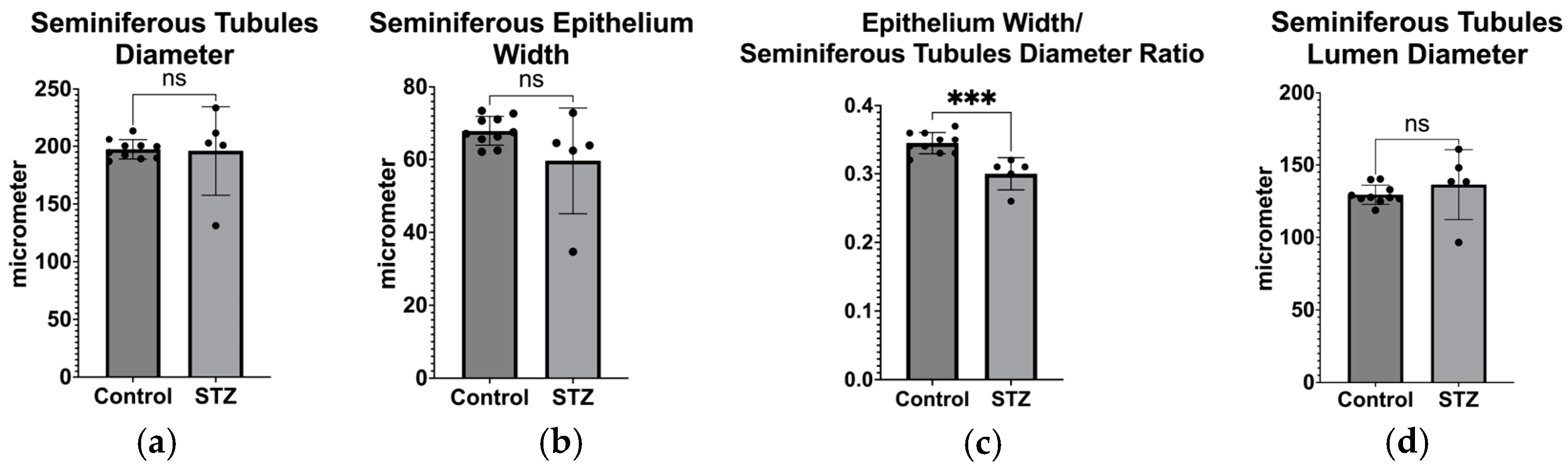 Biomedicines 12 02513 g006