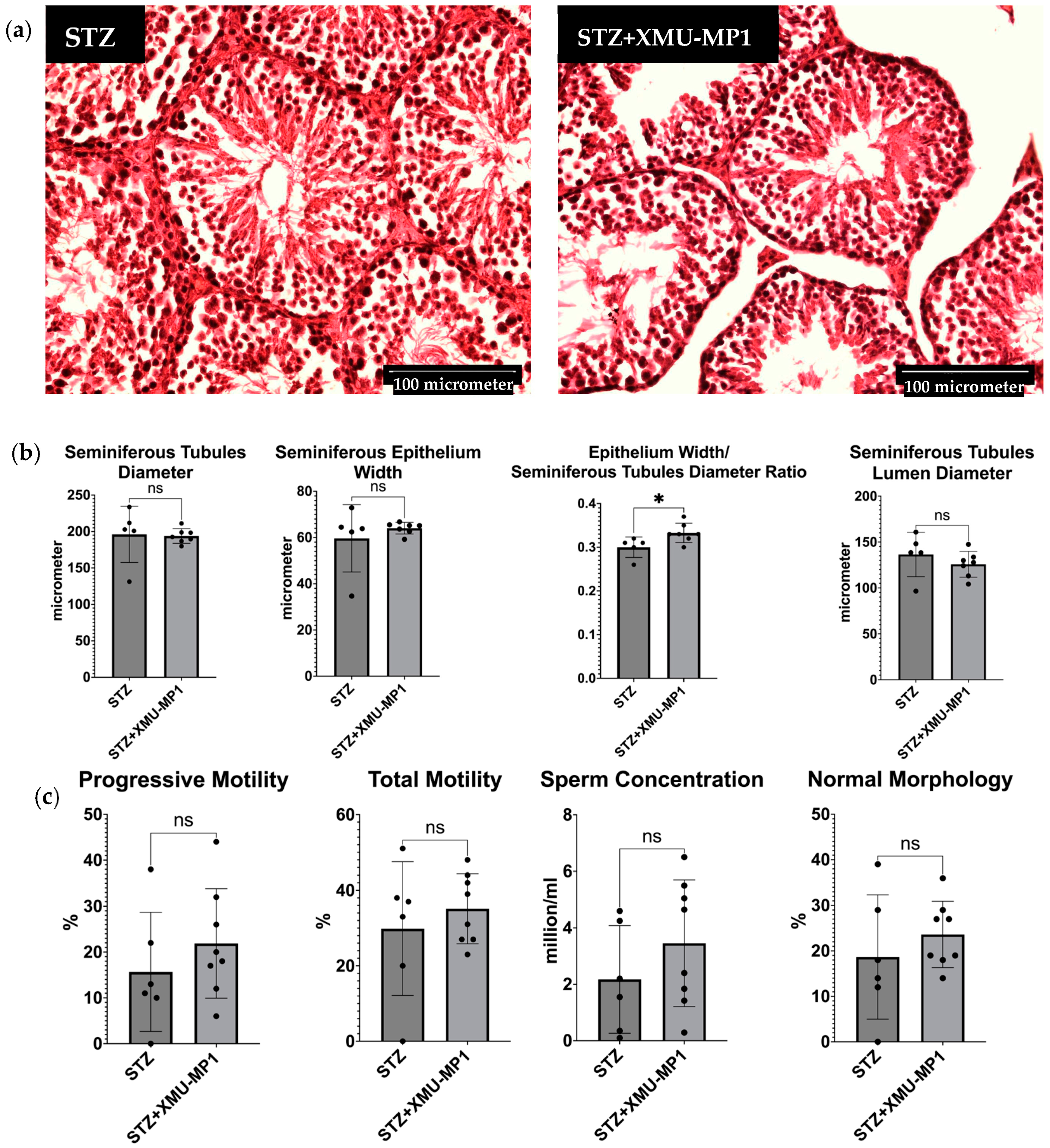 Biomedicines 12 02513 g008