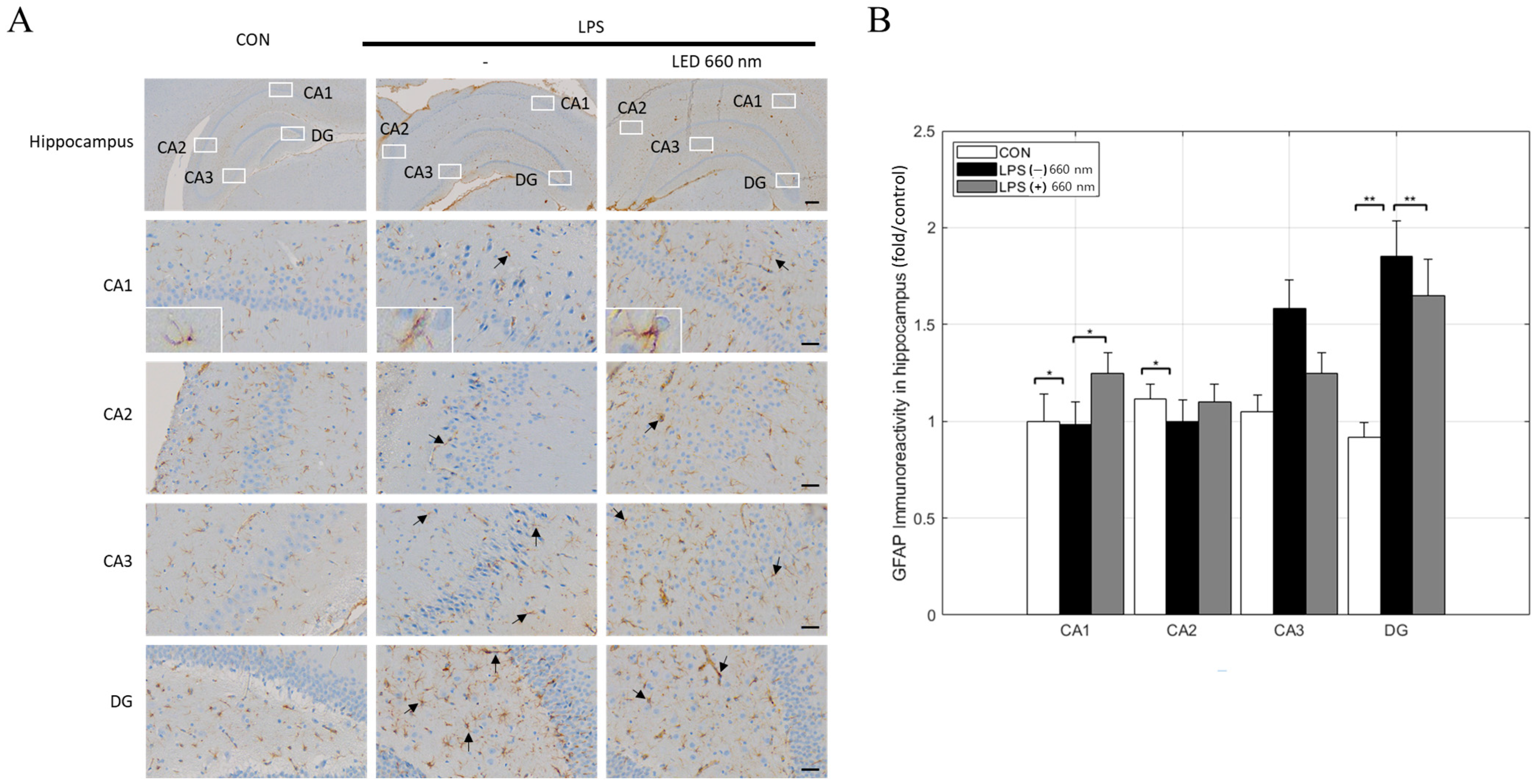 Biomedicines 12 02514 g003