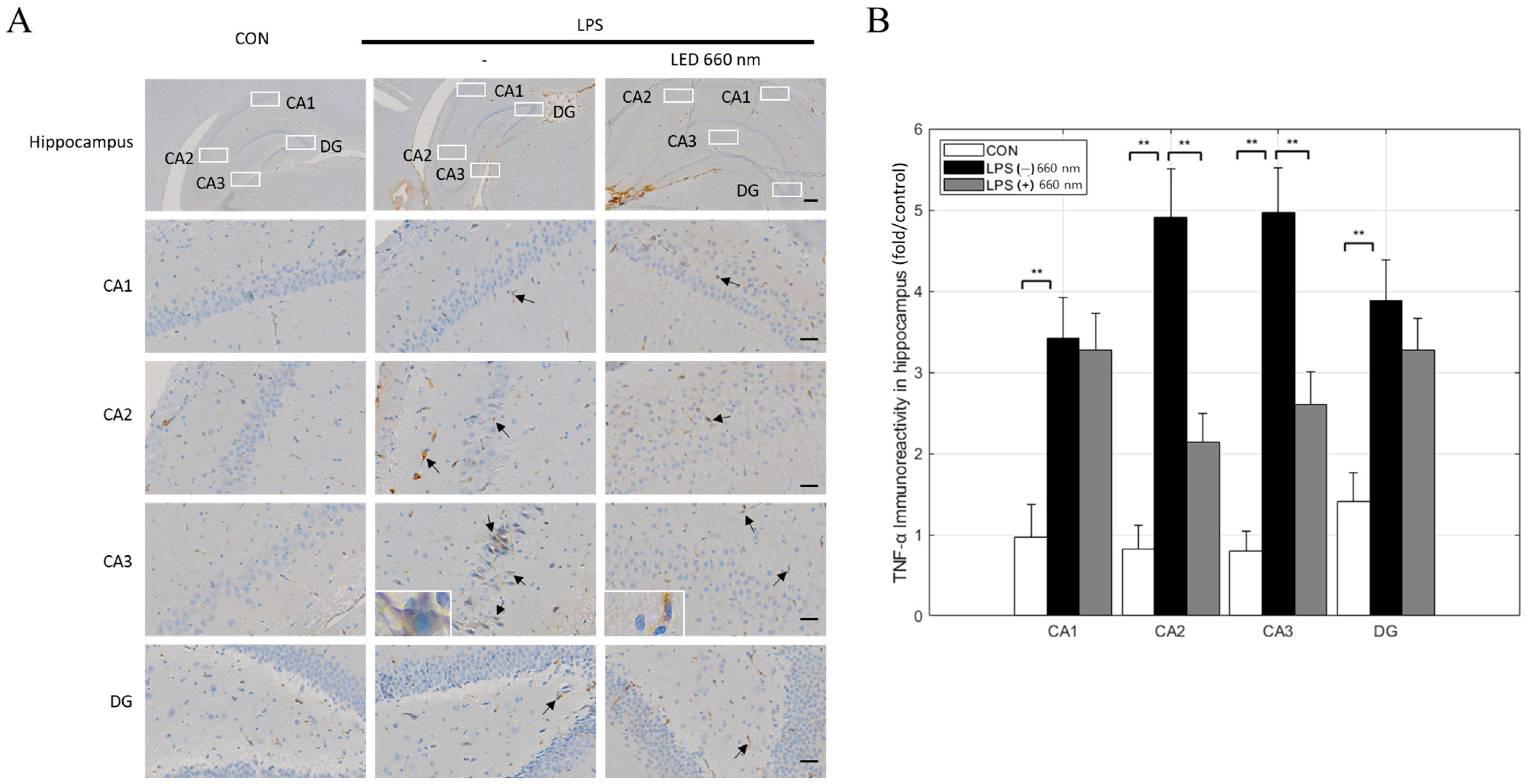 Biomedicines 12 02514 g004