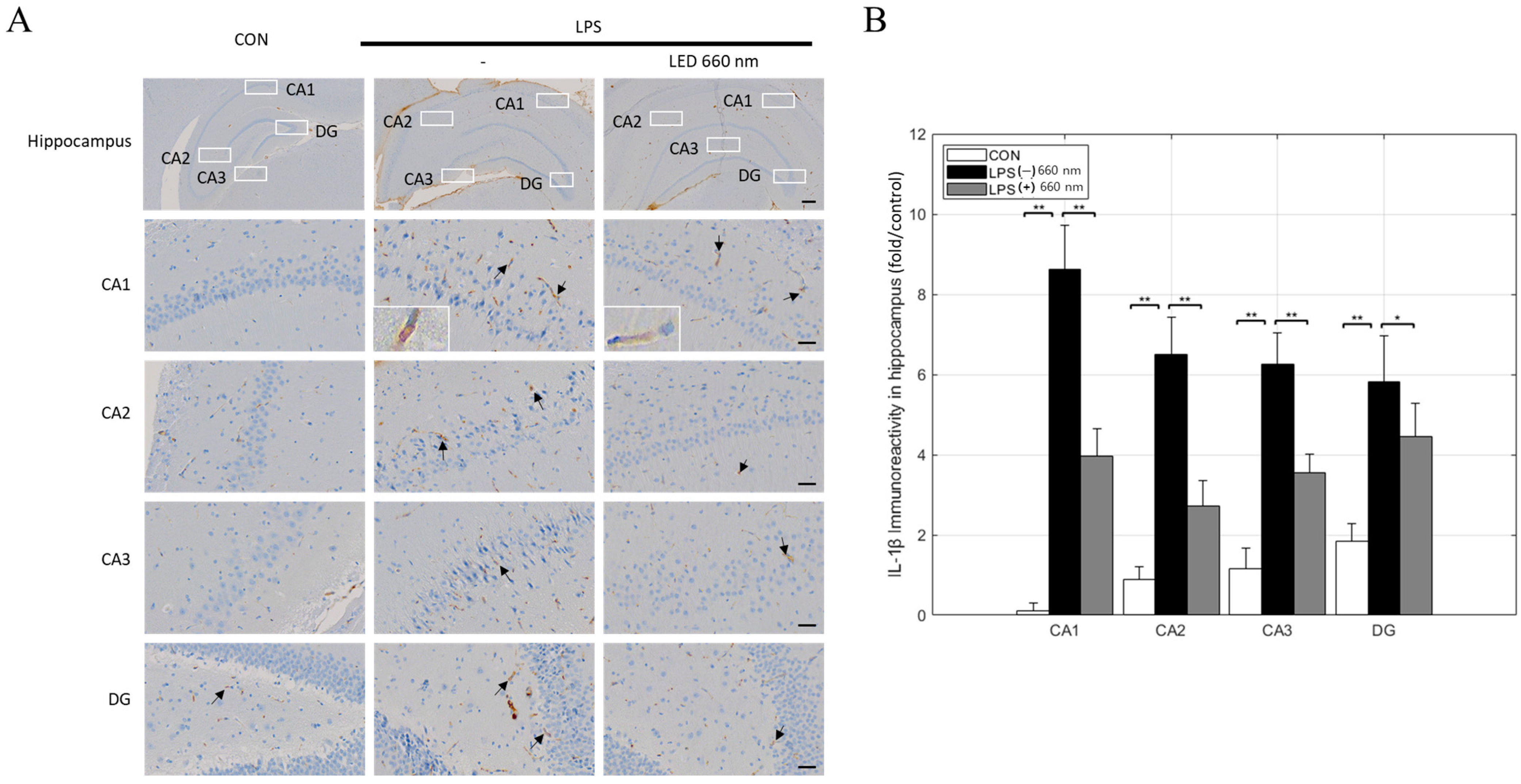 Biomedicines 12 02514 g005