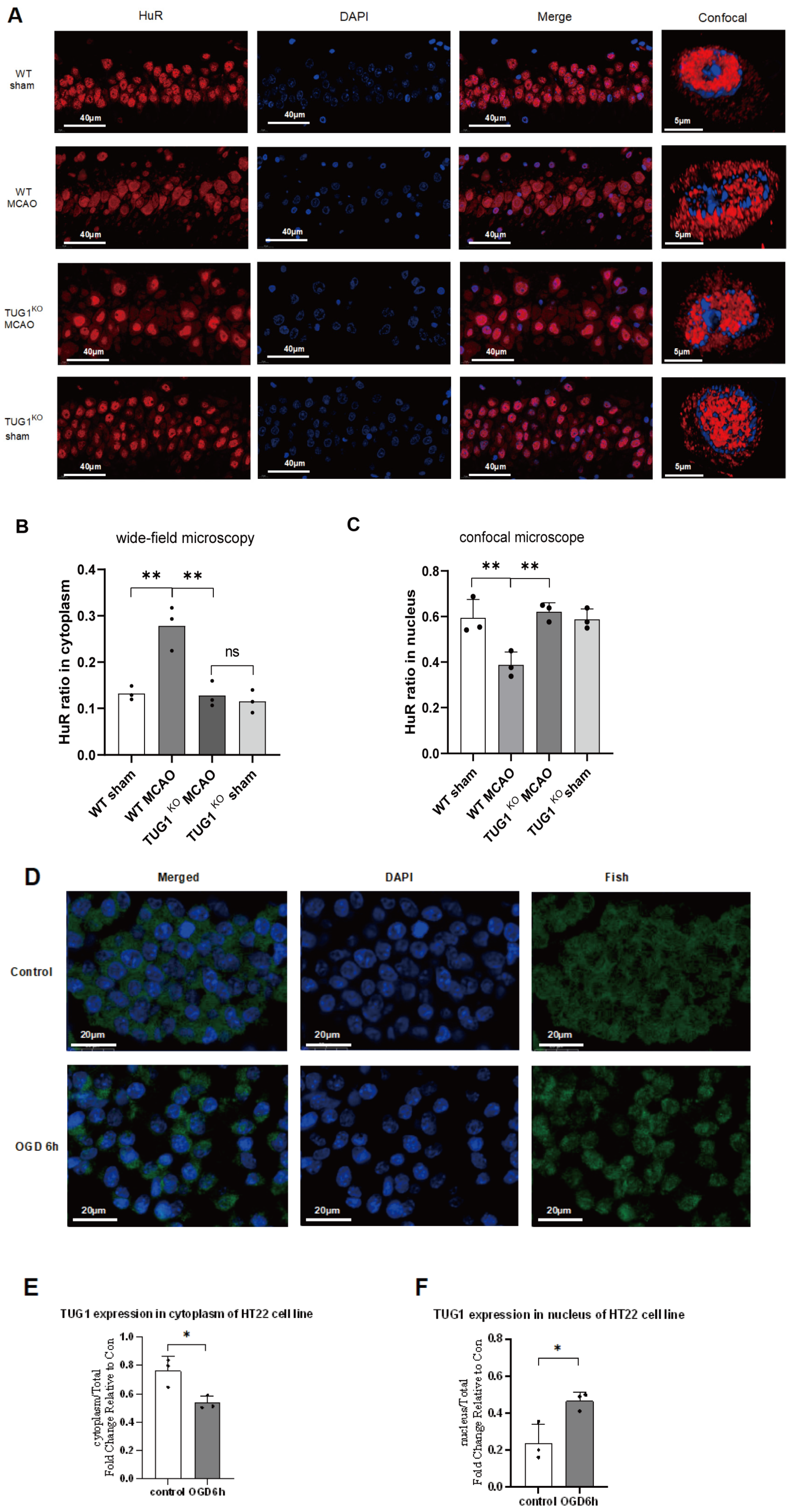 Biomedicines 12 02520 g003