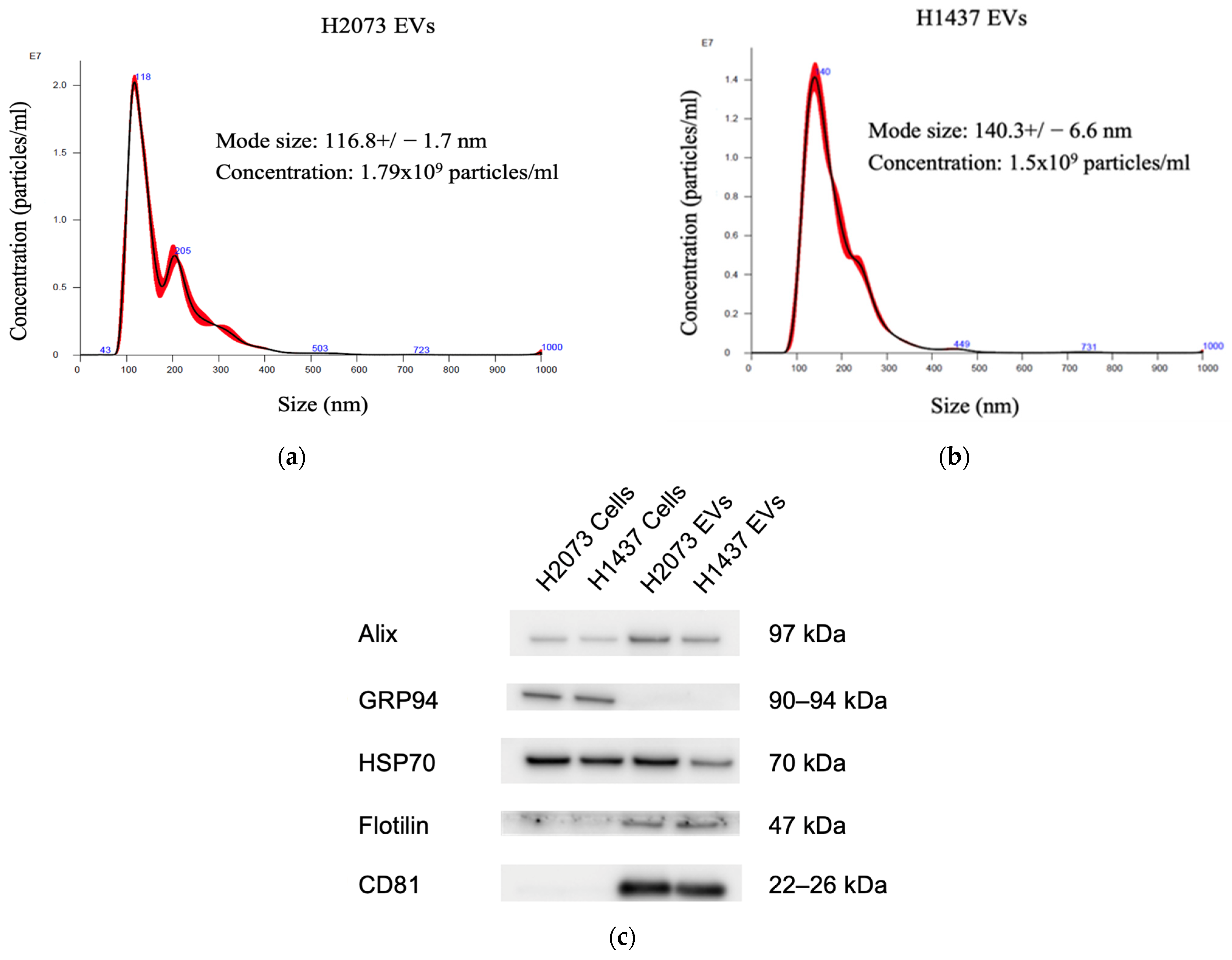 Biomedicines 12 02523 g001