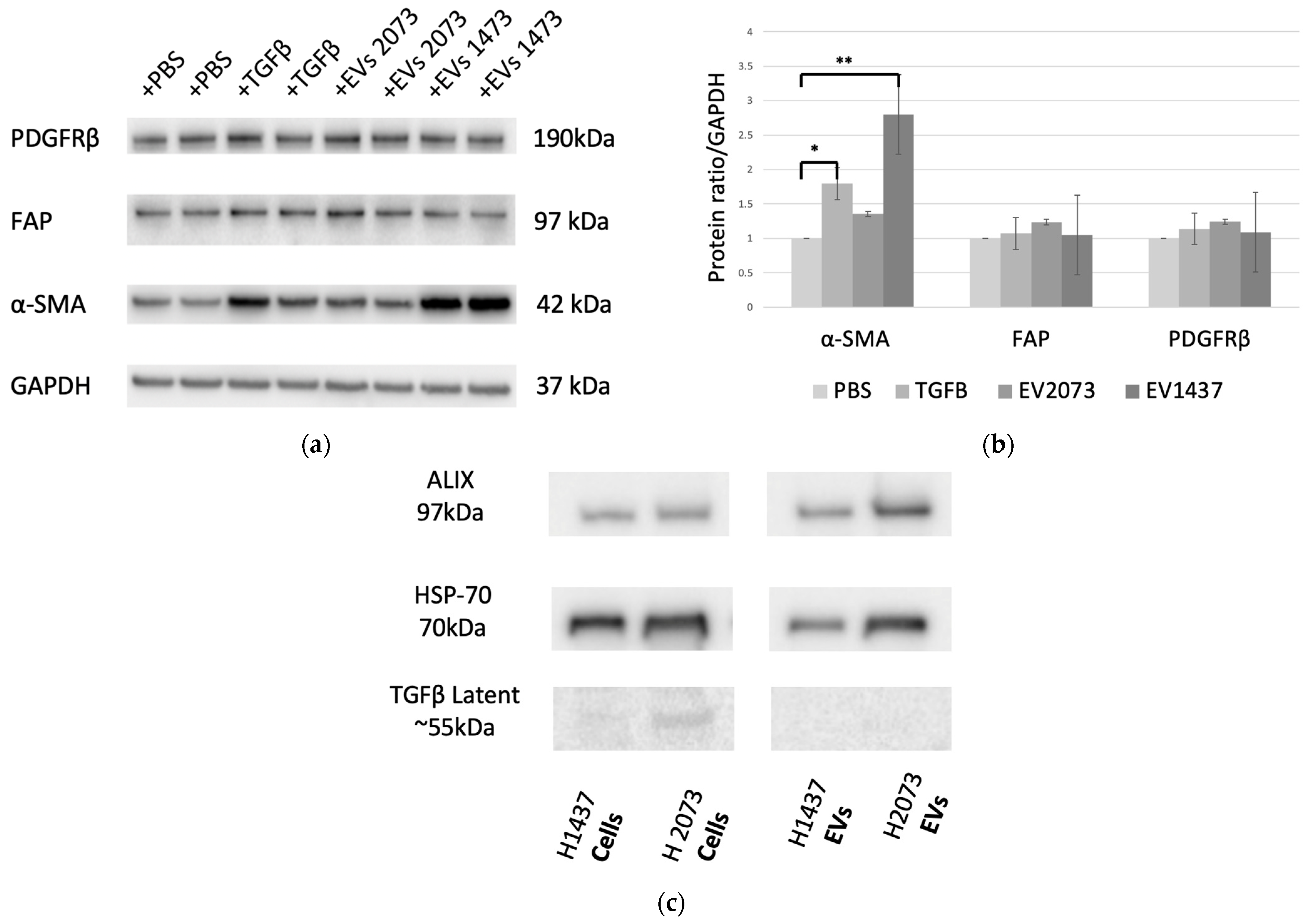 Biomedicines 12 02523 g002