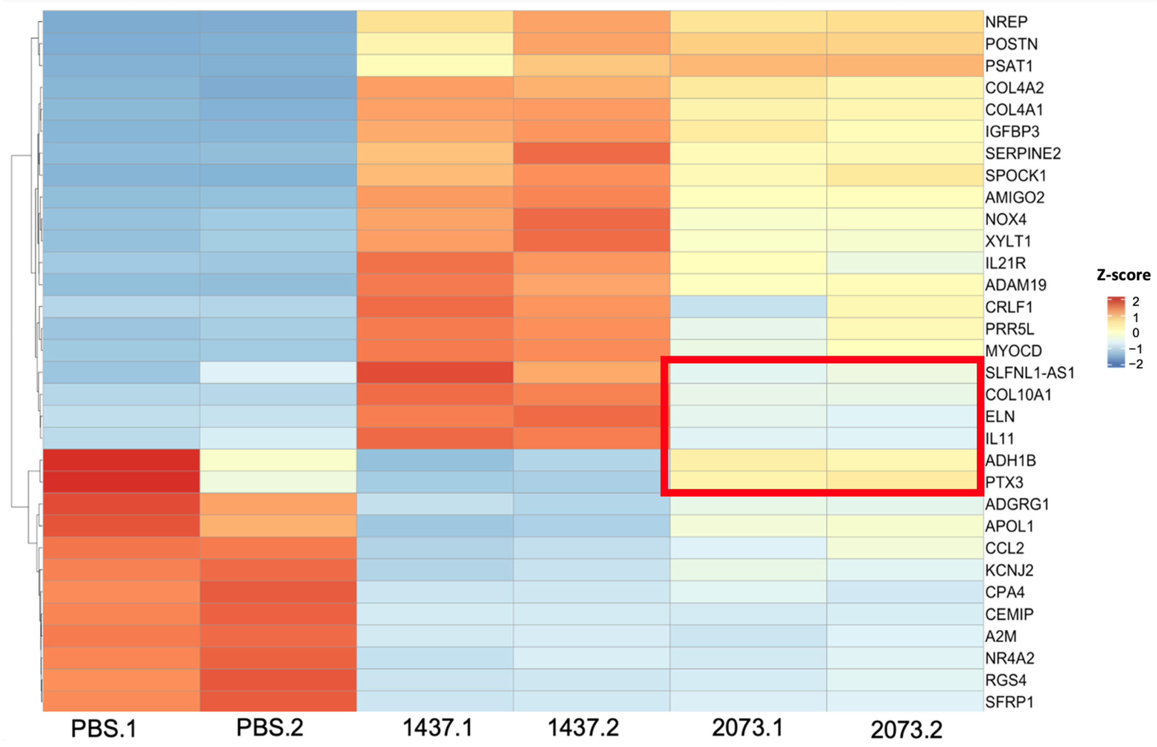 Biomedicines 12 02523 g005