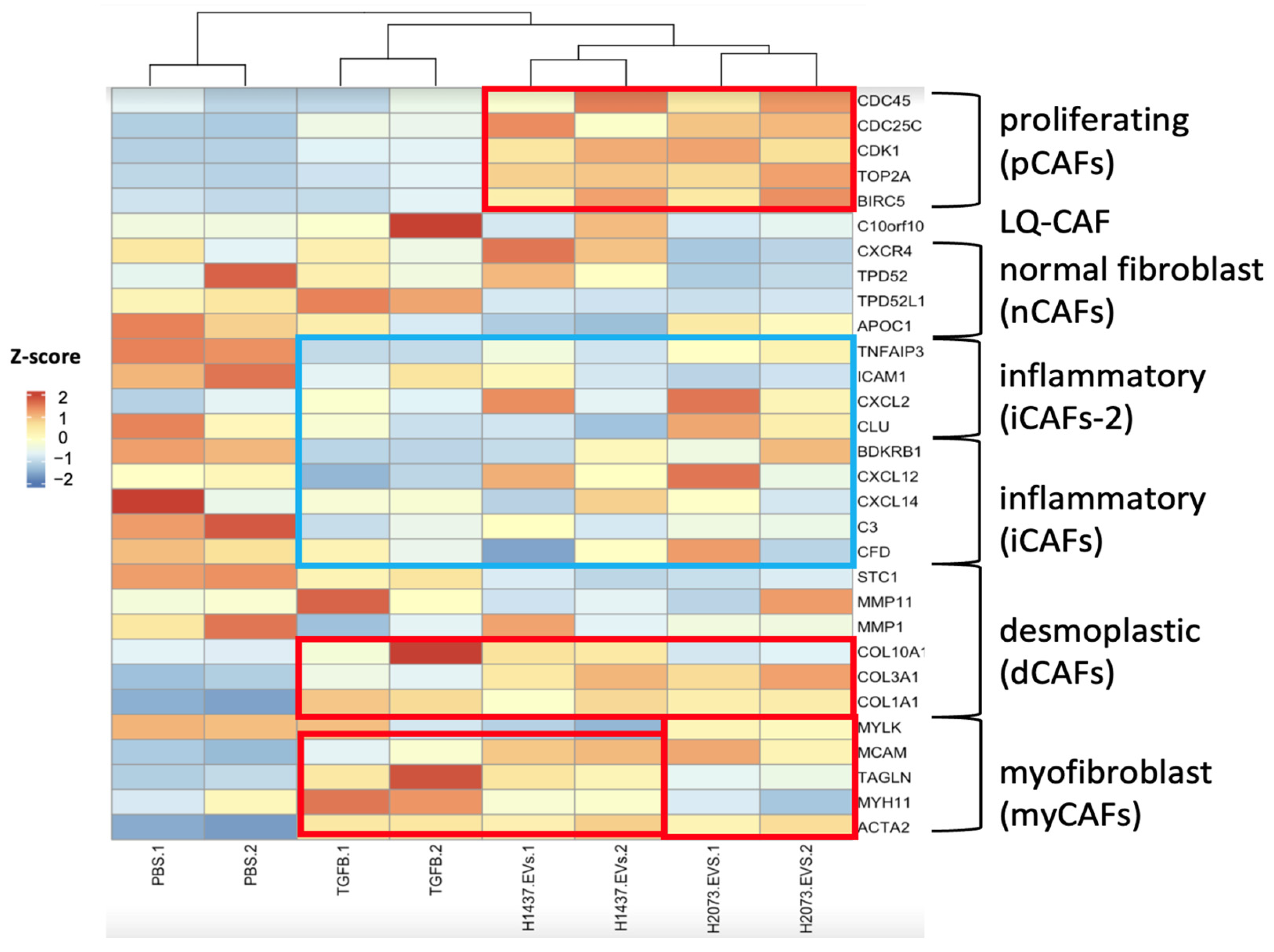 Biomedicines 12 02523 g006