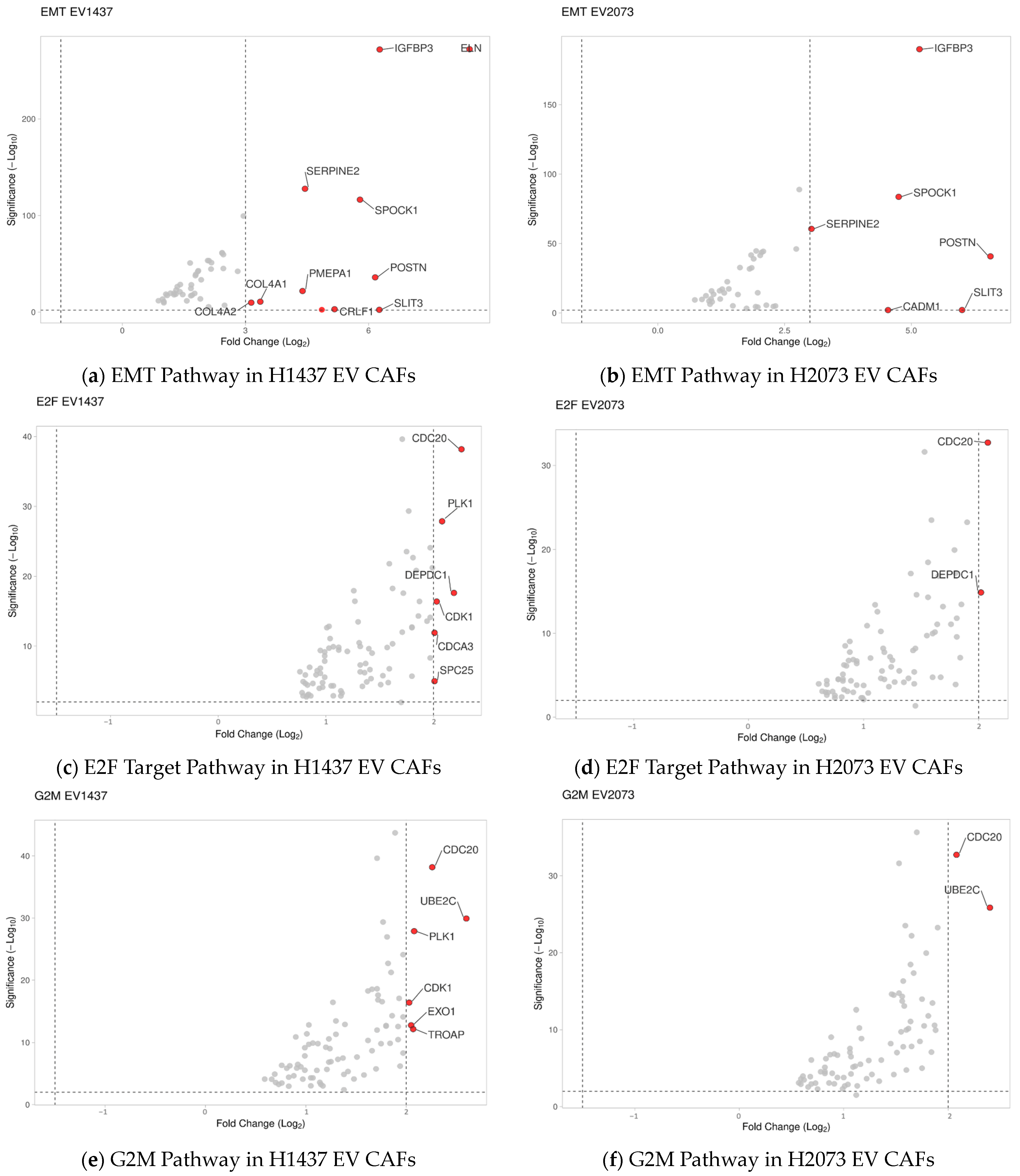 Biomedicines 12 02523 g008