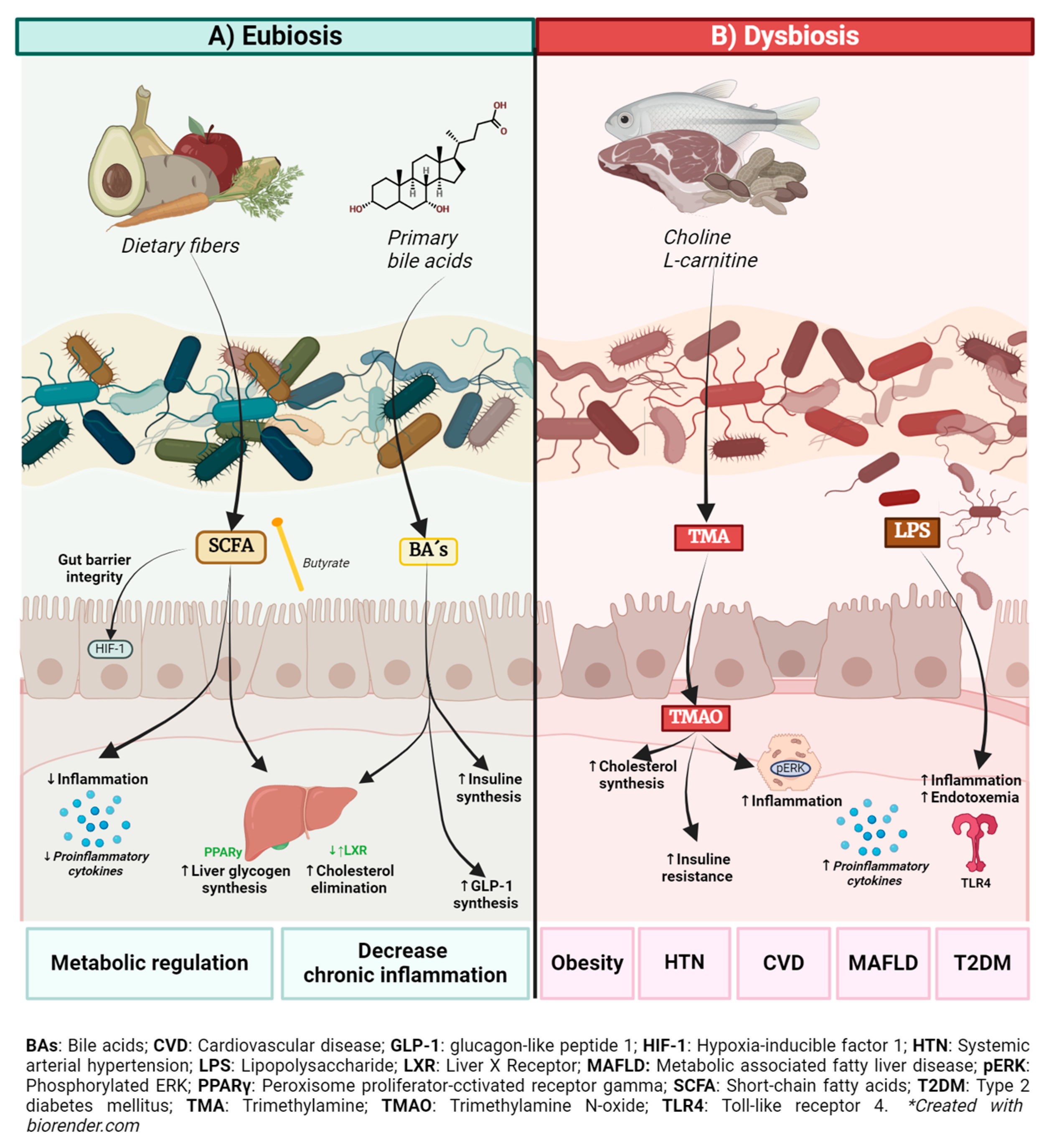 Biomedicines 12 02529 g001