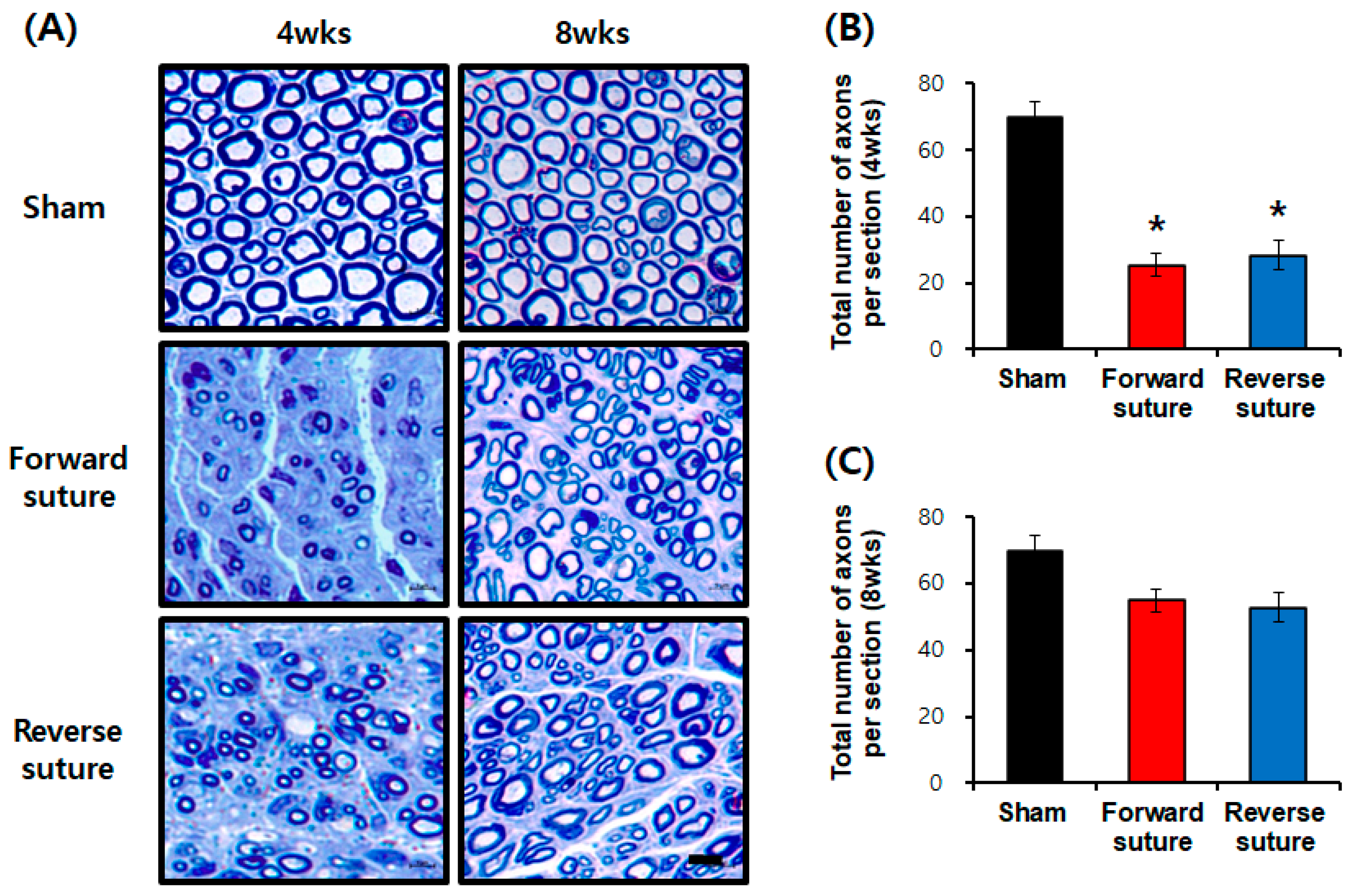 Biomedicines 12 02531 g002