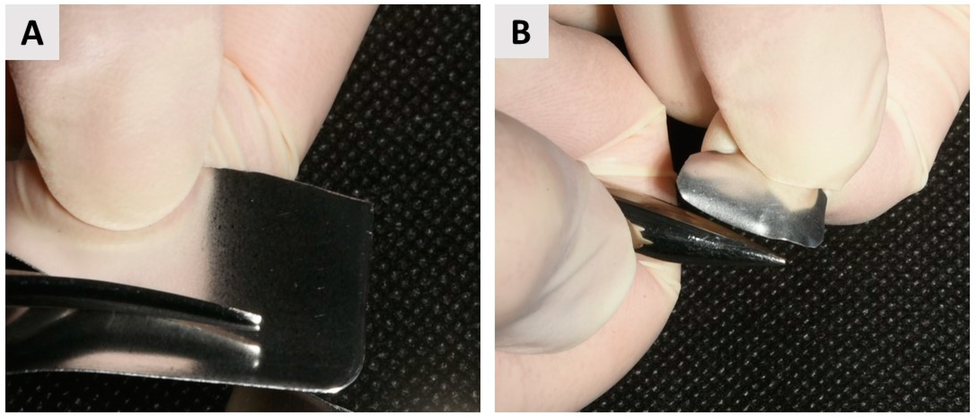 Biomedicines 12 02537 g003