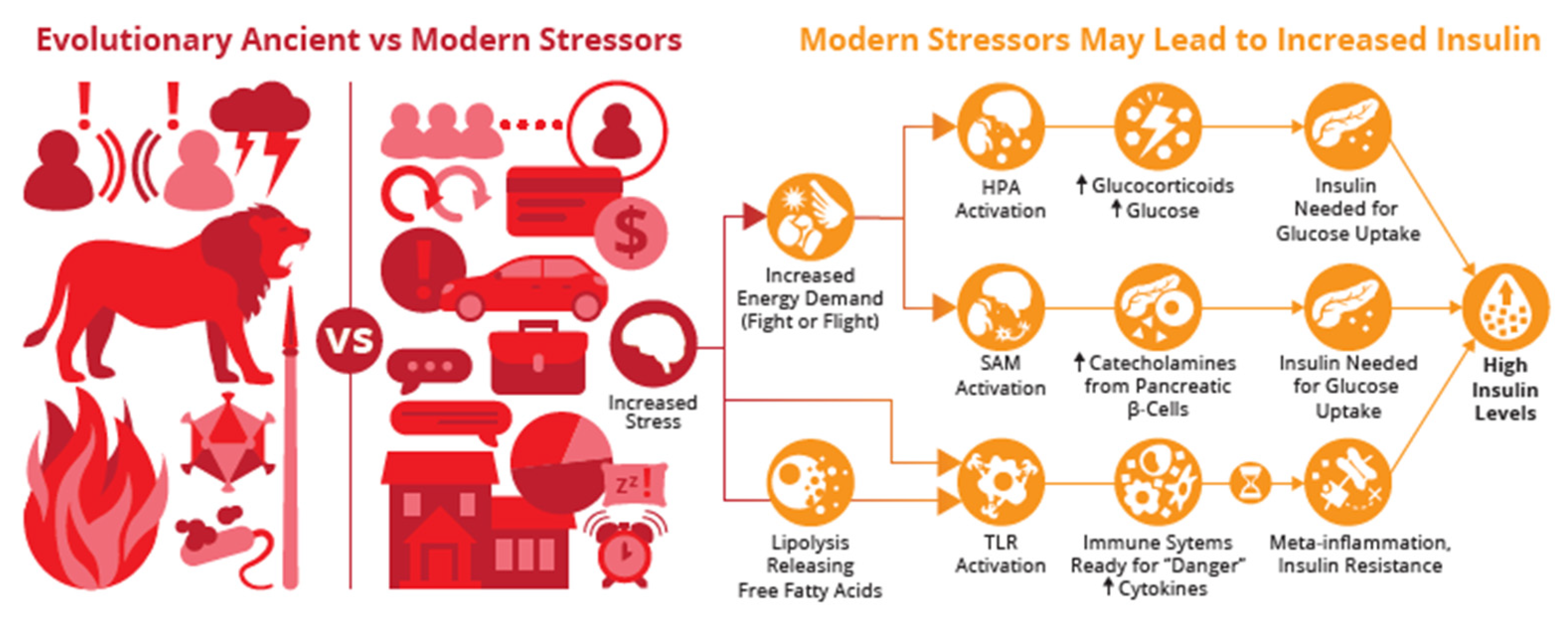 Biomedicines 12 02539 g001